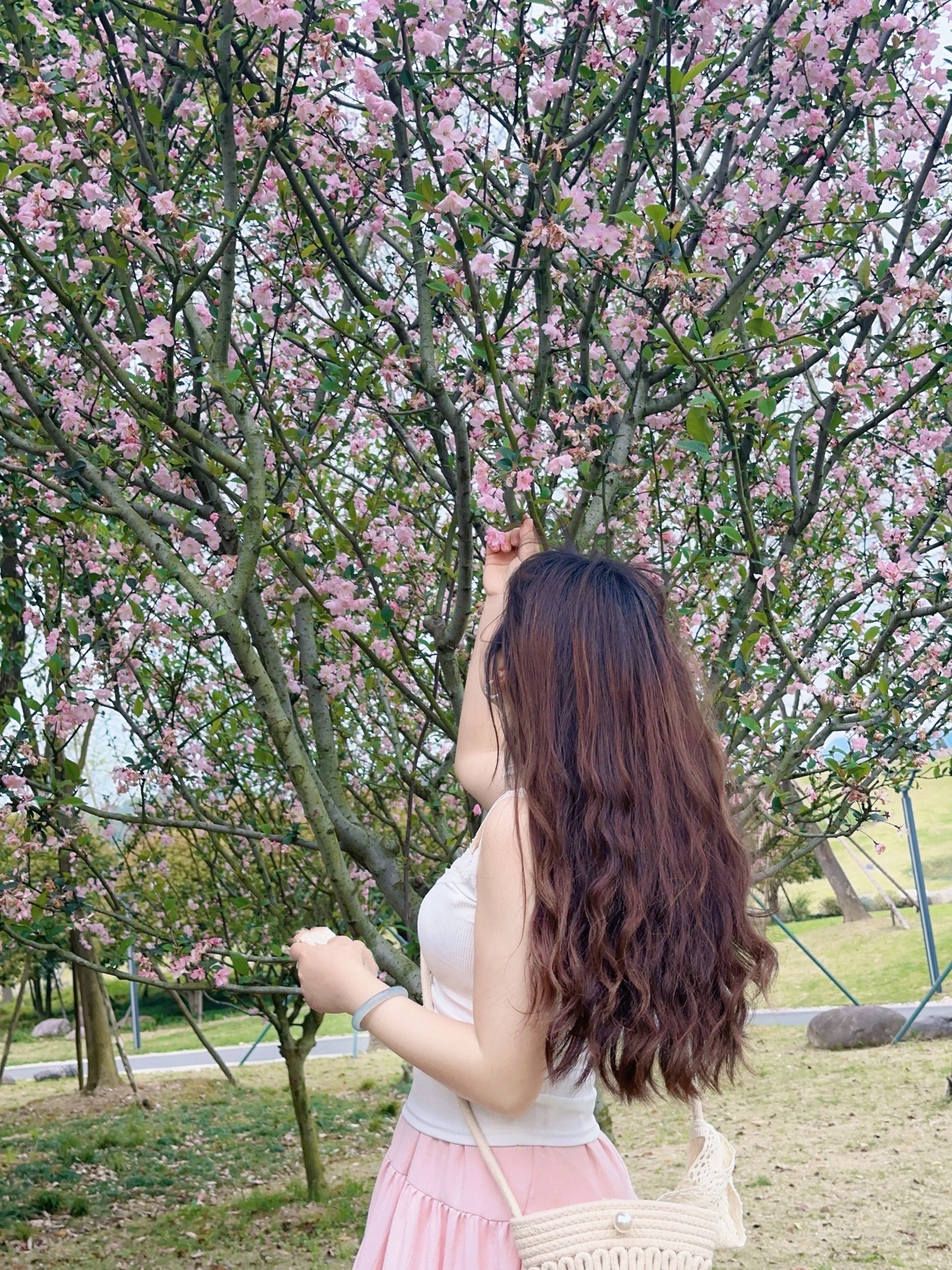 台州植物(雕塑)园旅行图片