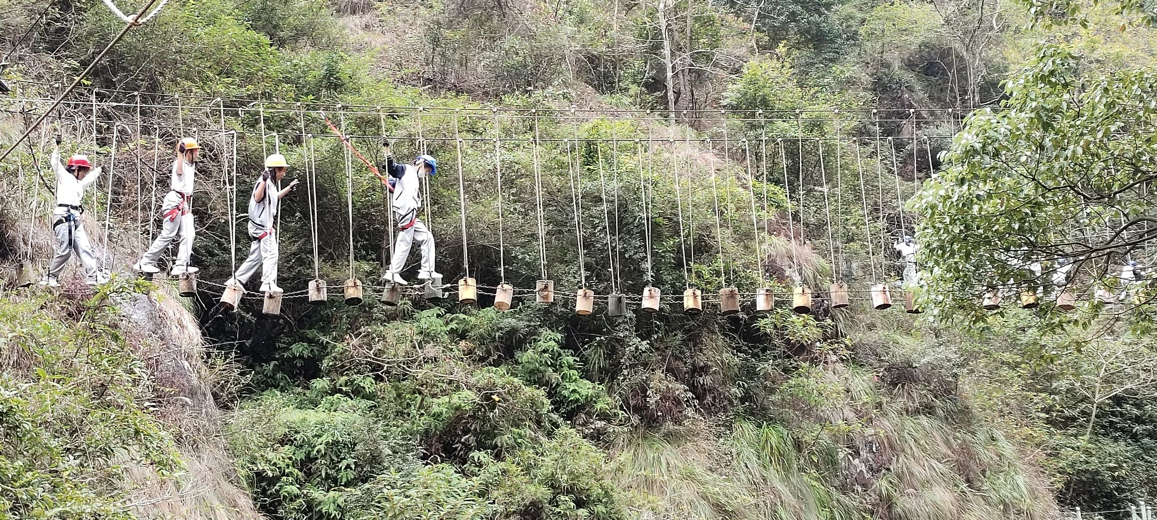 龙井风景区