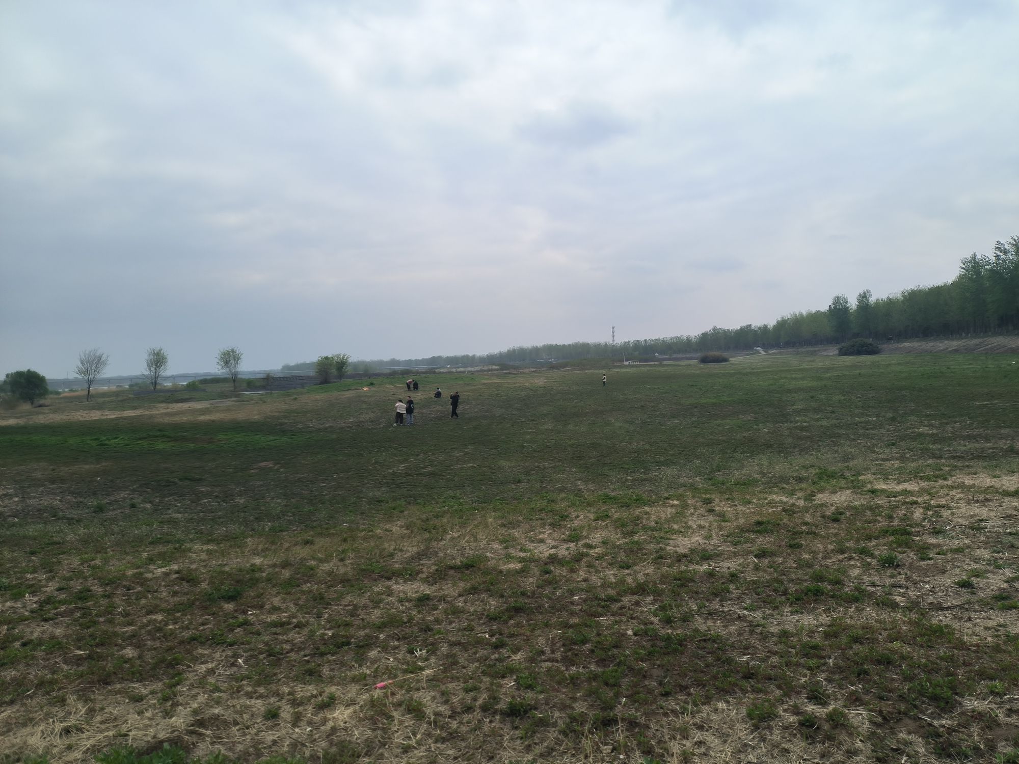 邳州银杏湖风景区旅行图片