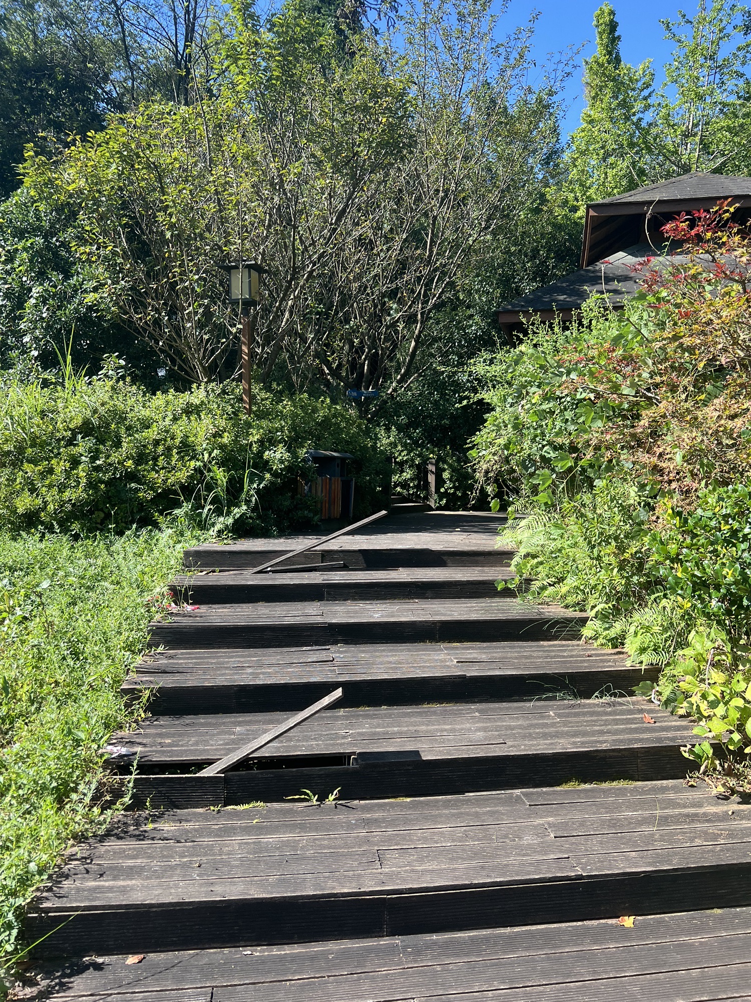百花湖森林公园