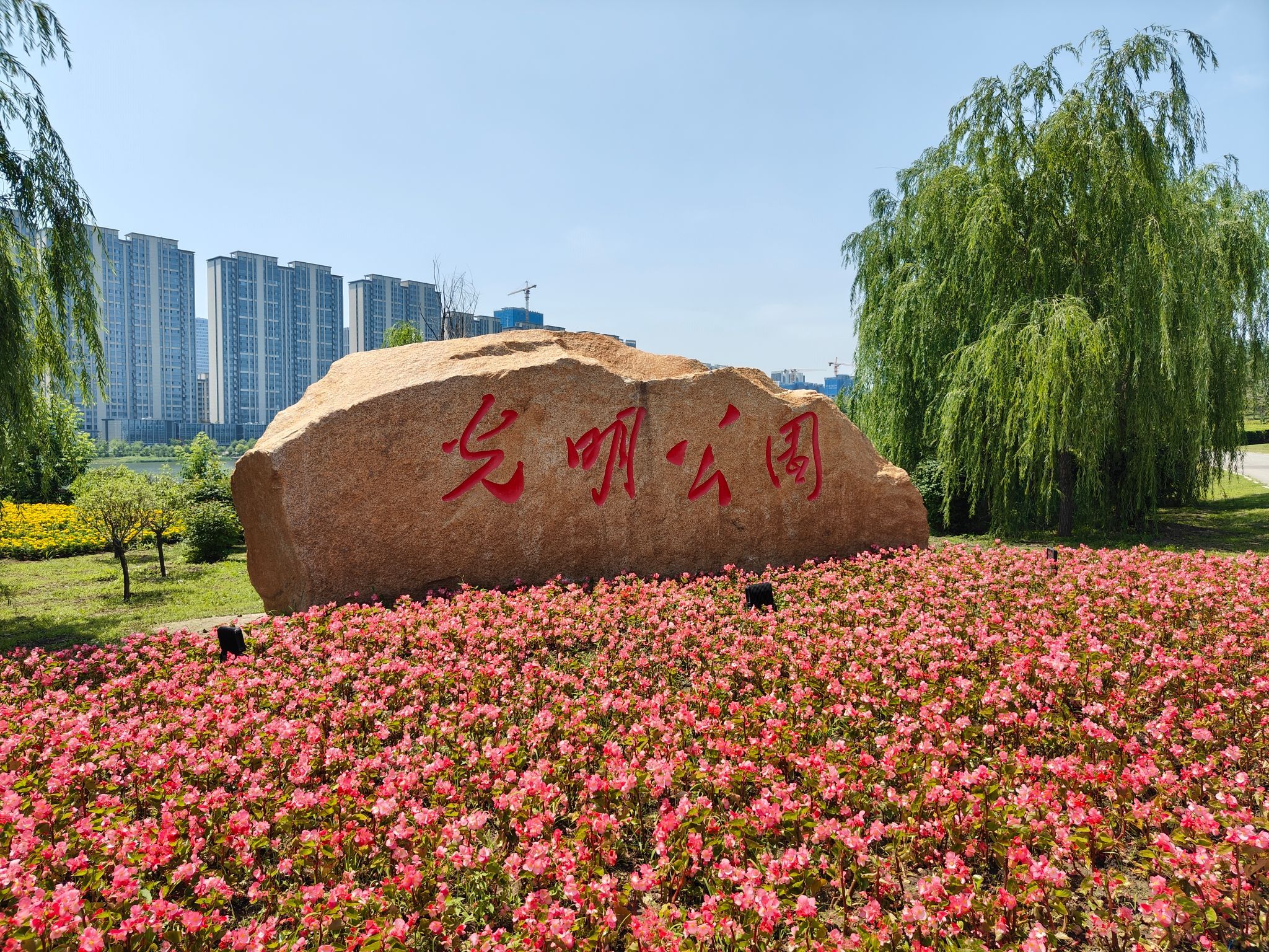 光明公园旅行图片