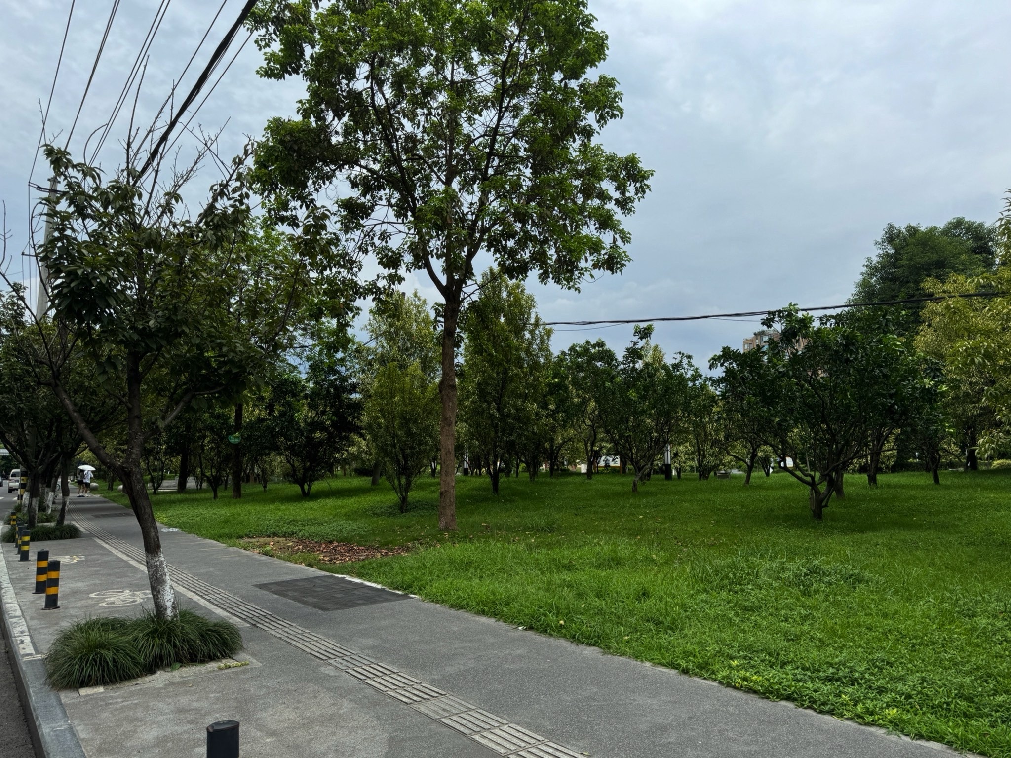 红牌楼市政公园旅行图片