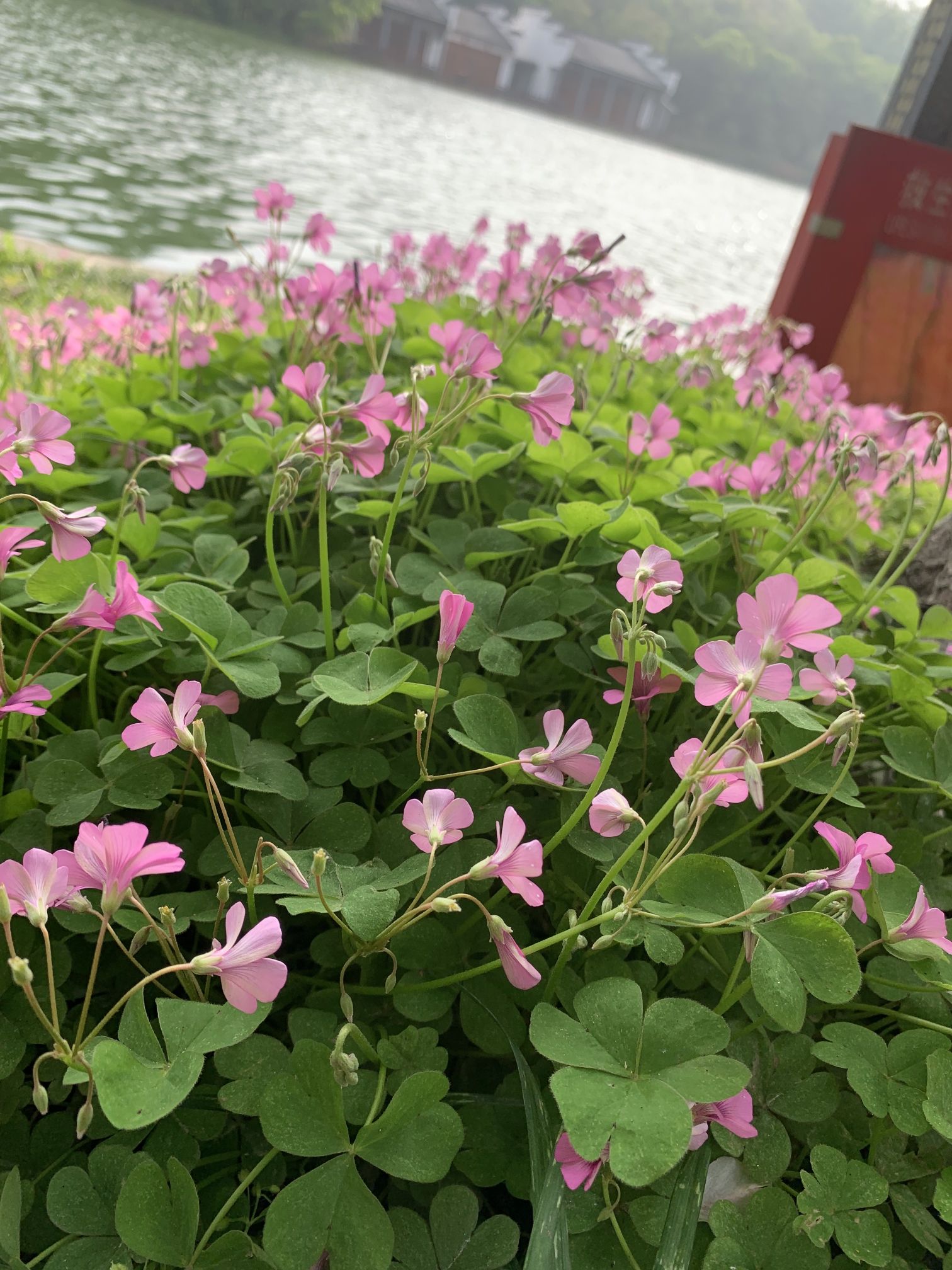 环城公园