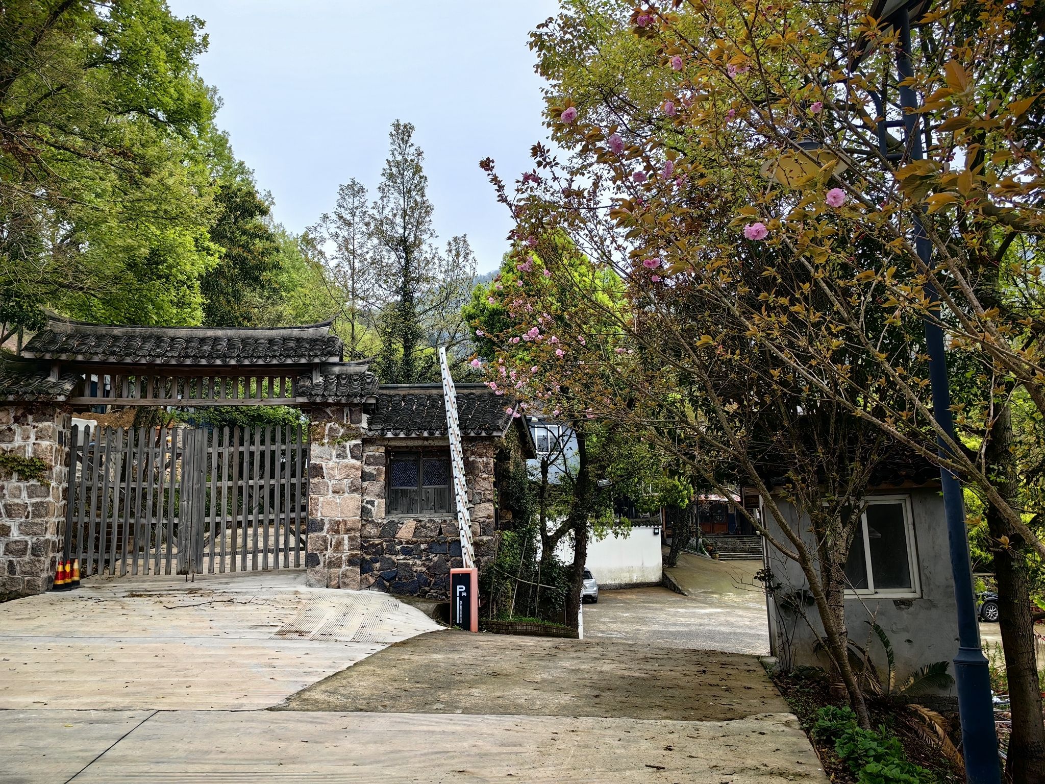 舟山万花谷