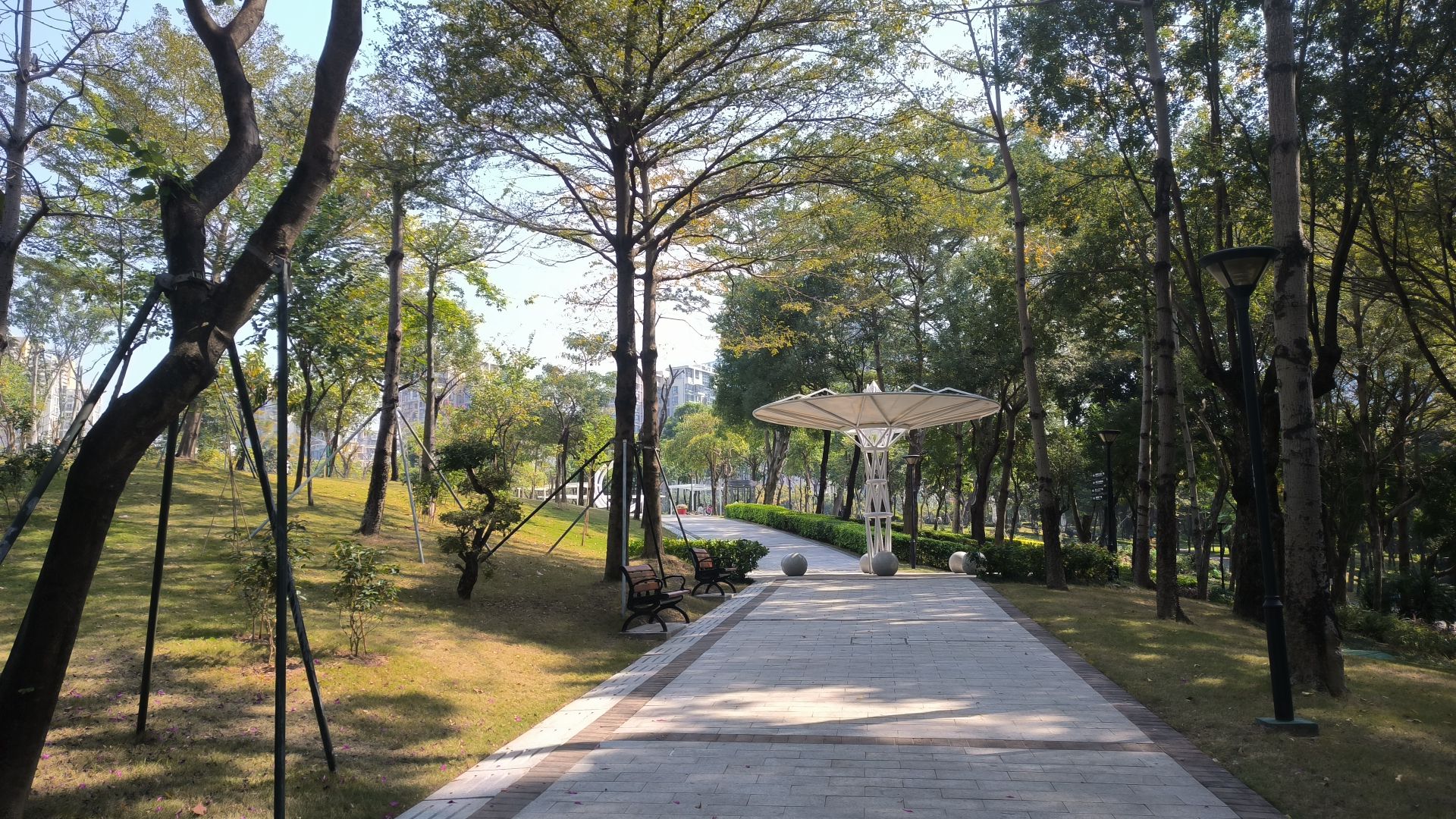 科技公园