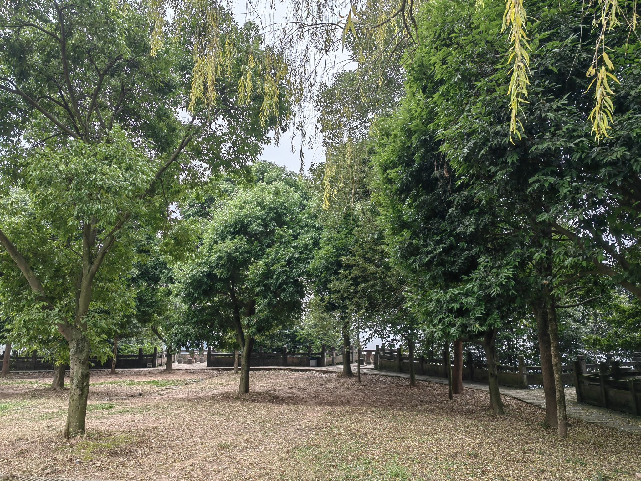 龙椅山植物园