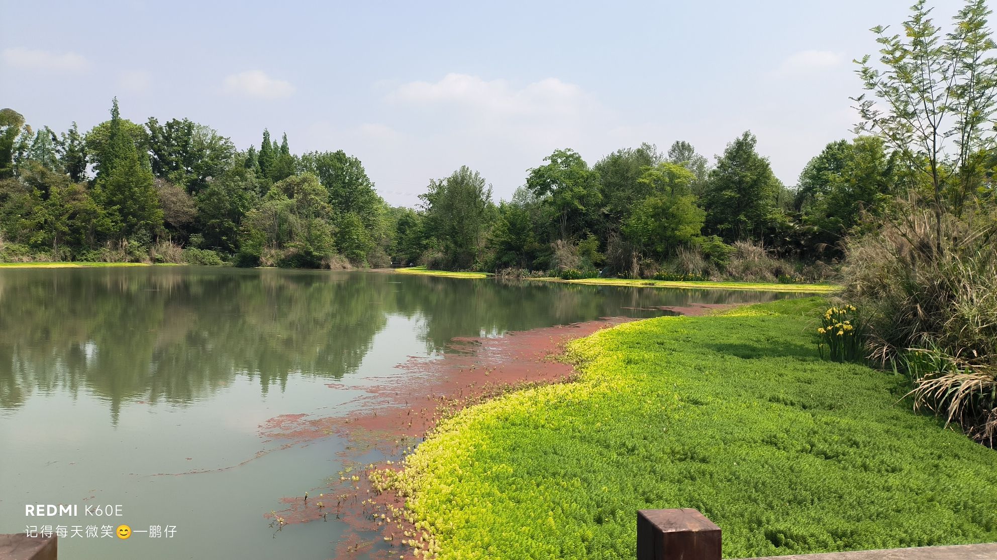 桤木河湿地公园