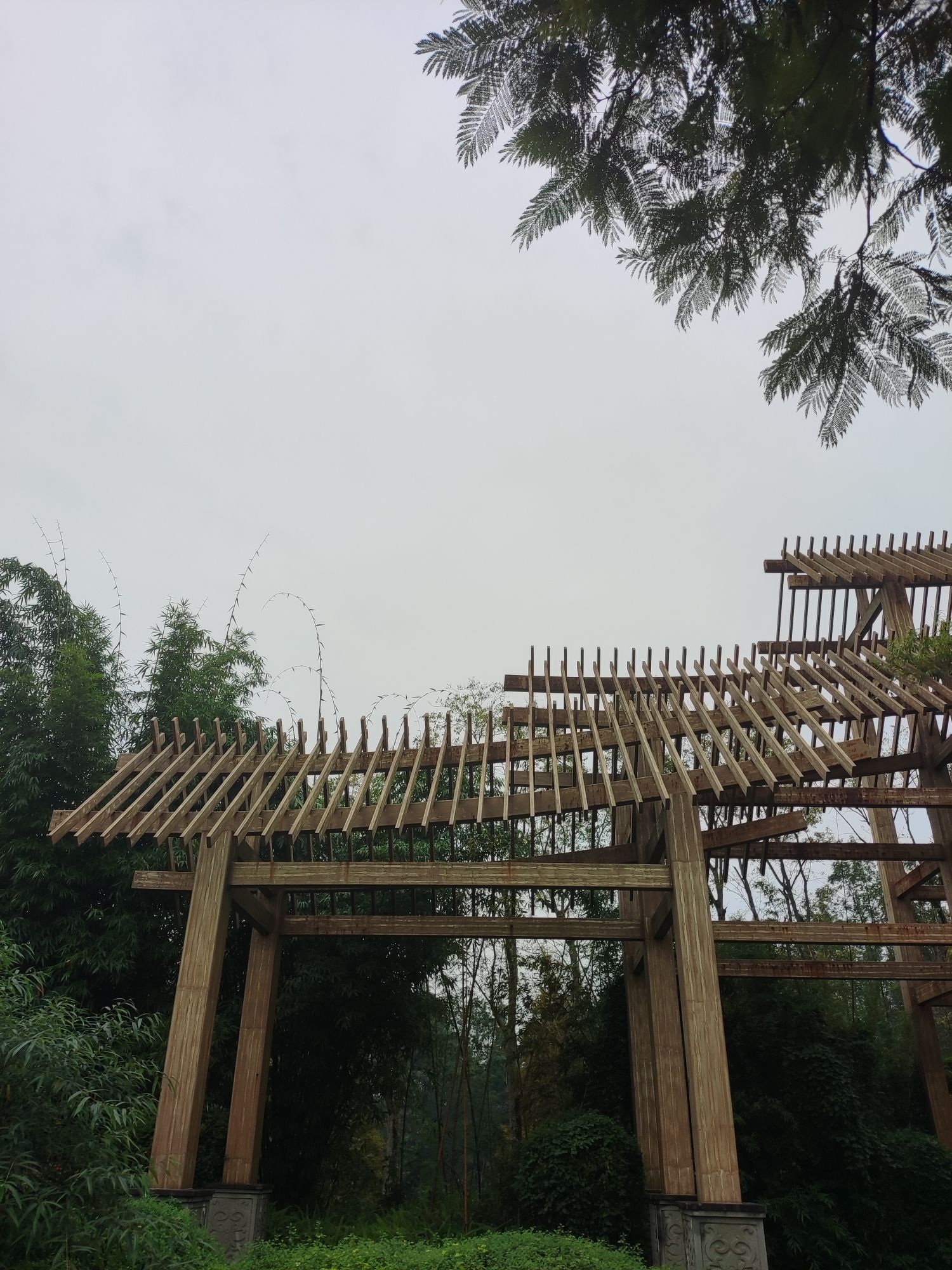桤木河湿地公园旅行图片