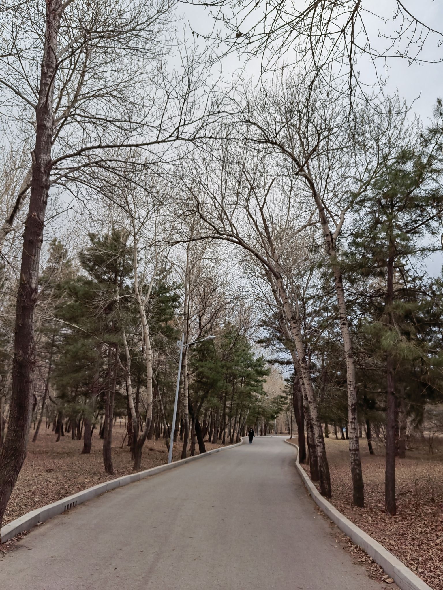 双合尔公园旅行图片