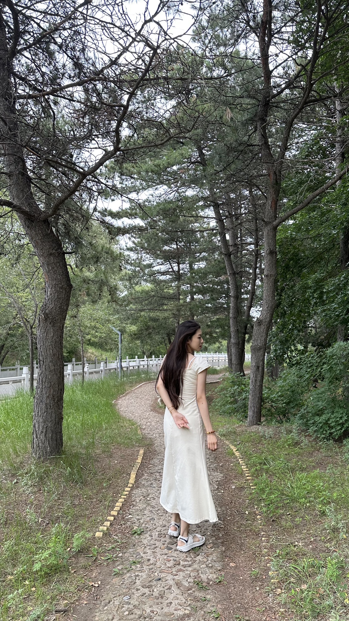 双合尔公园旅行图片
