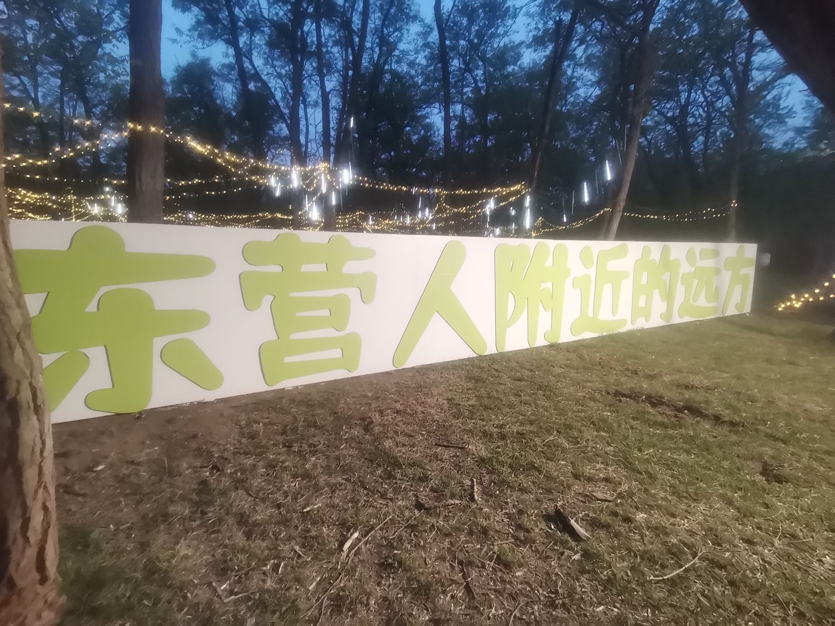 孤岛槐树林温泉旅游区