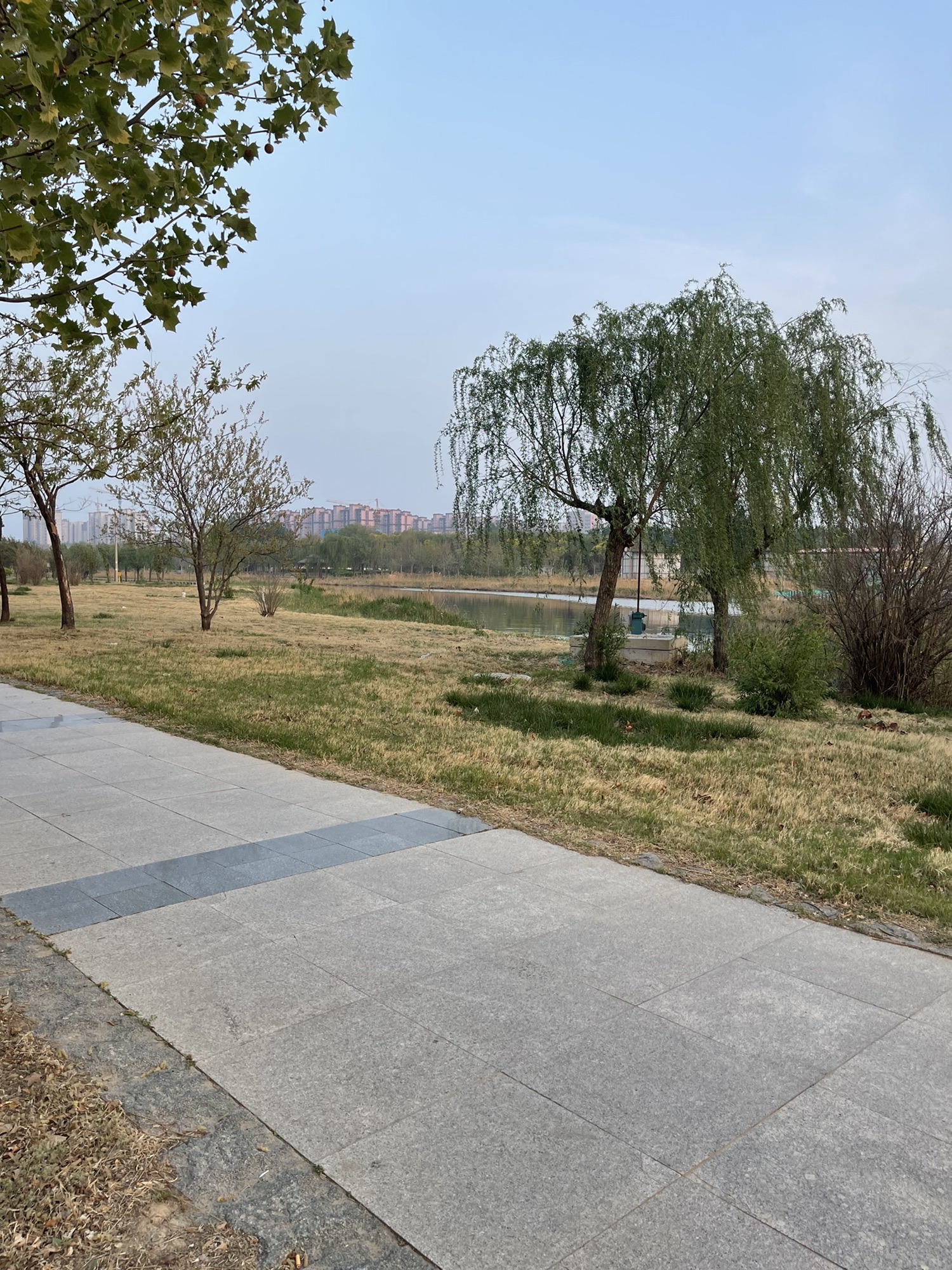 金水河公园