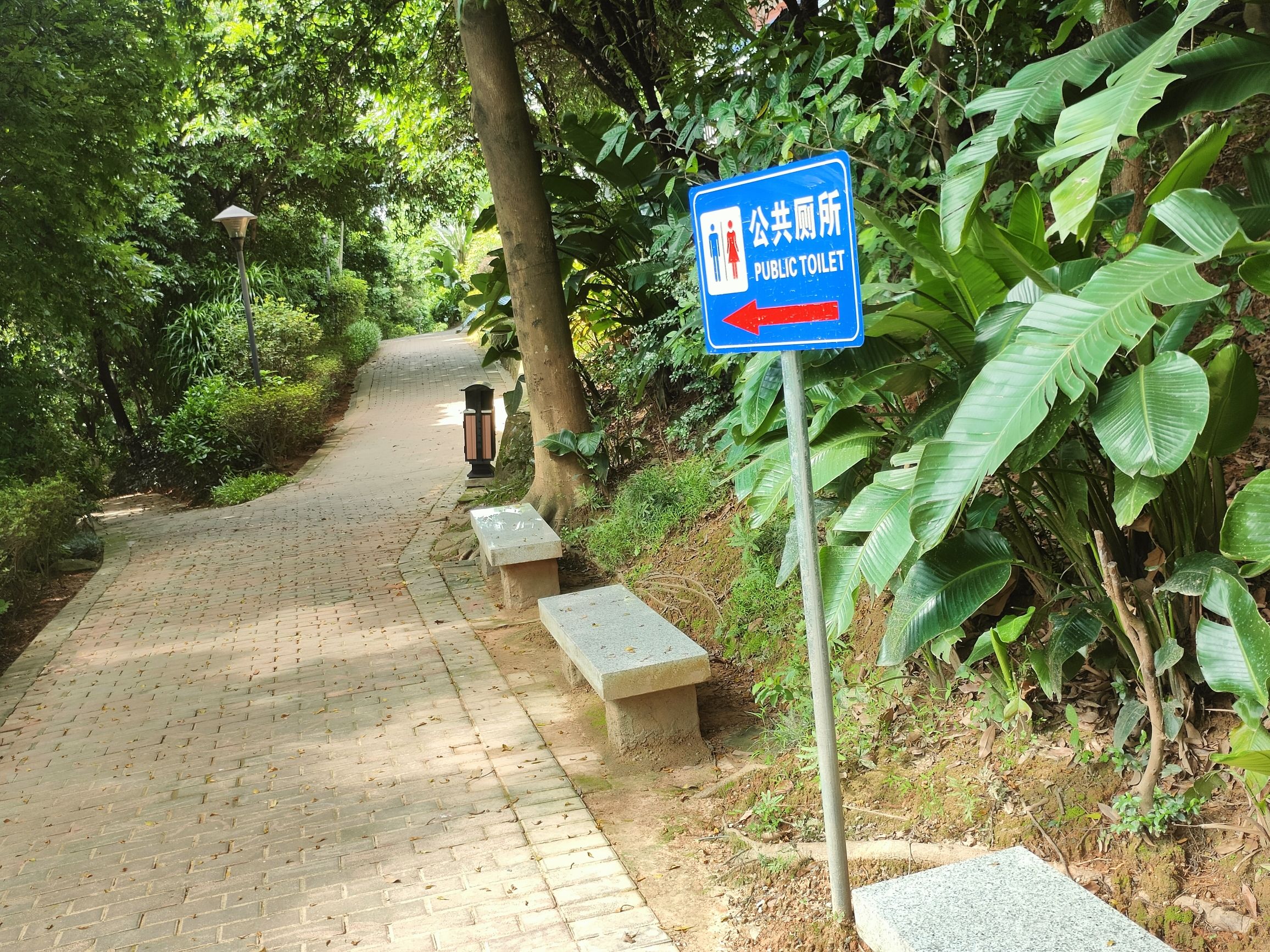 章阁背礼园社区公园旅行图片