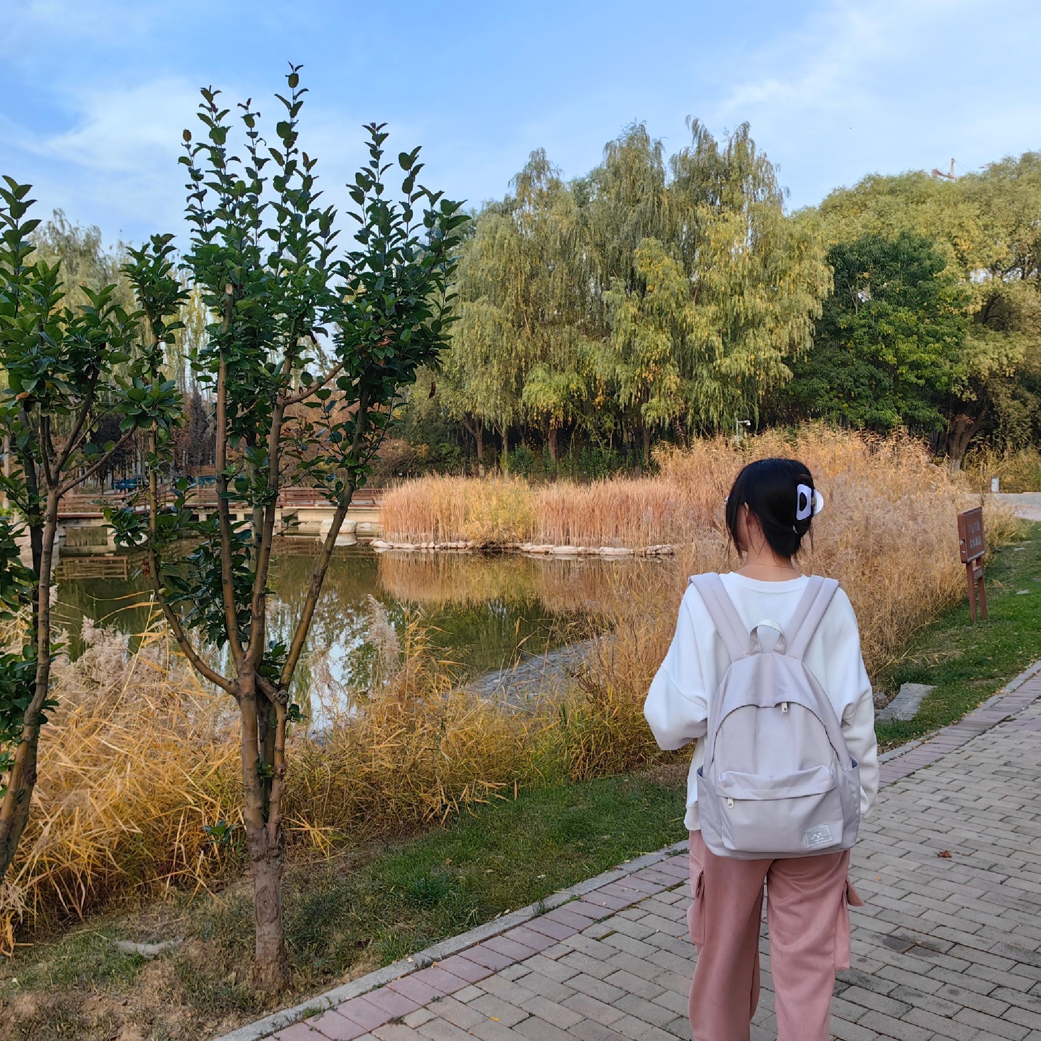 社火公园旅行图片
