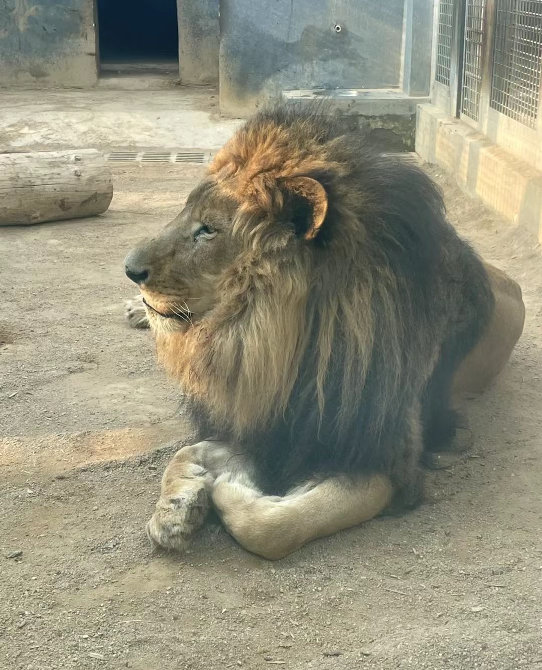 许昌动物园旅行图片