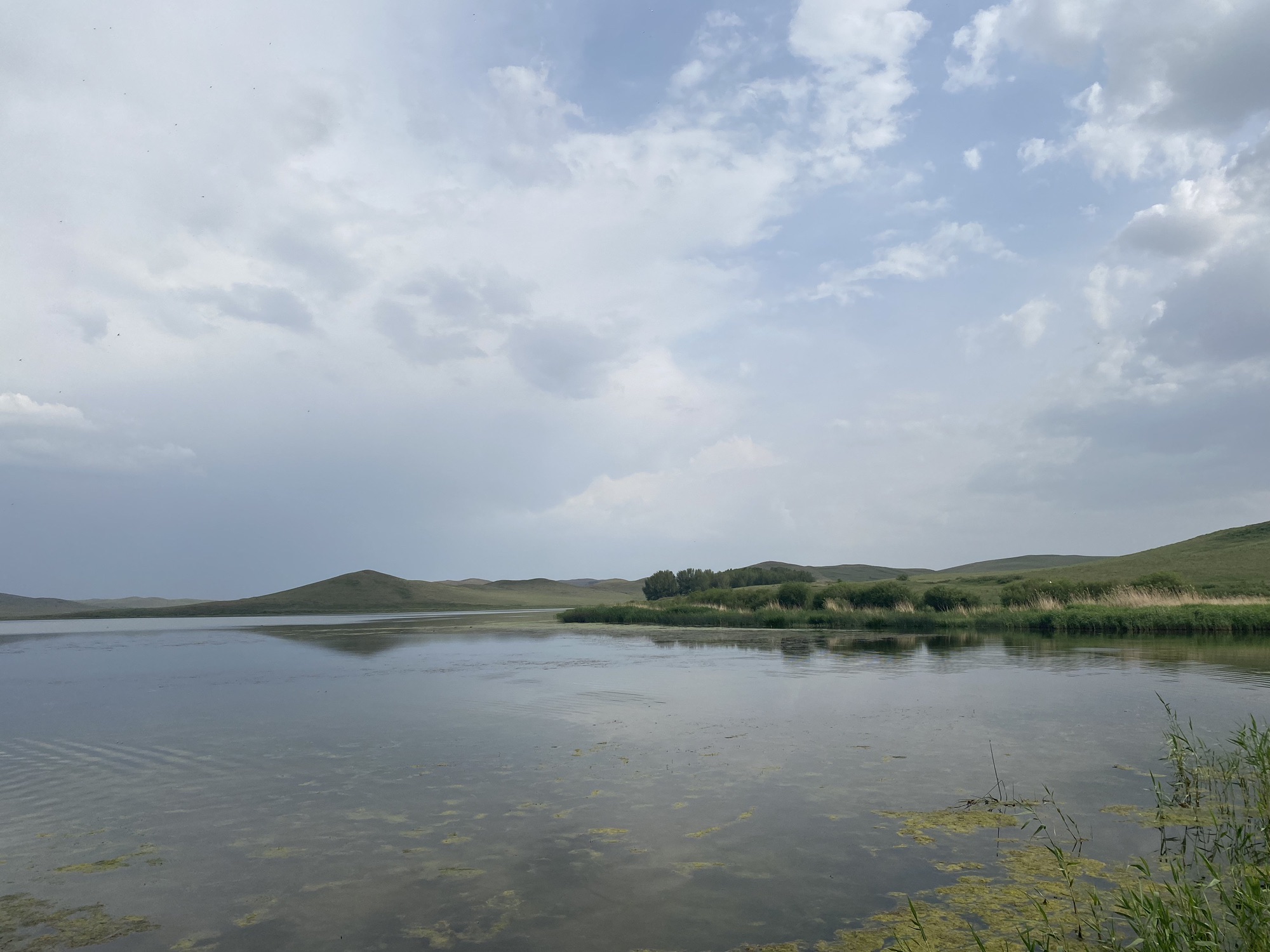 锡林九曲弯旅游区旅行图片