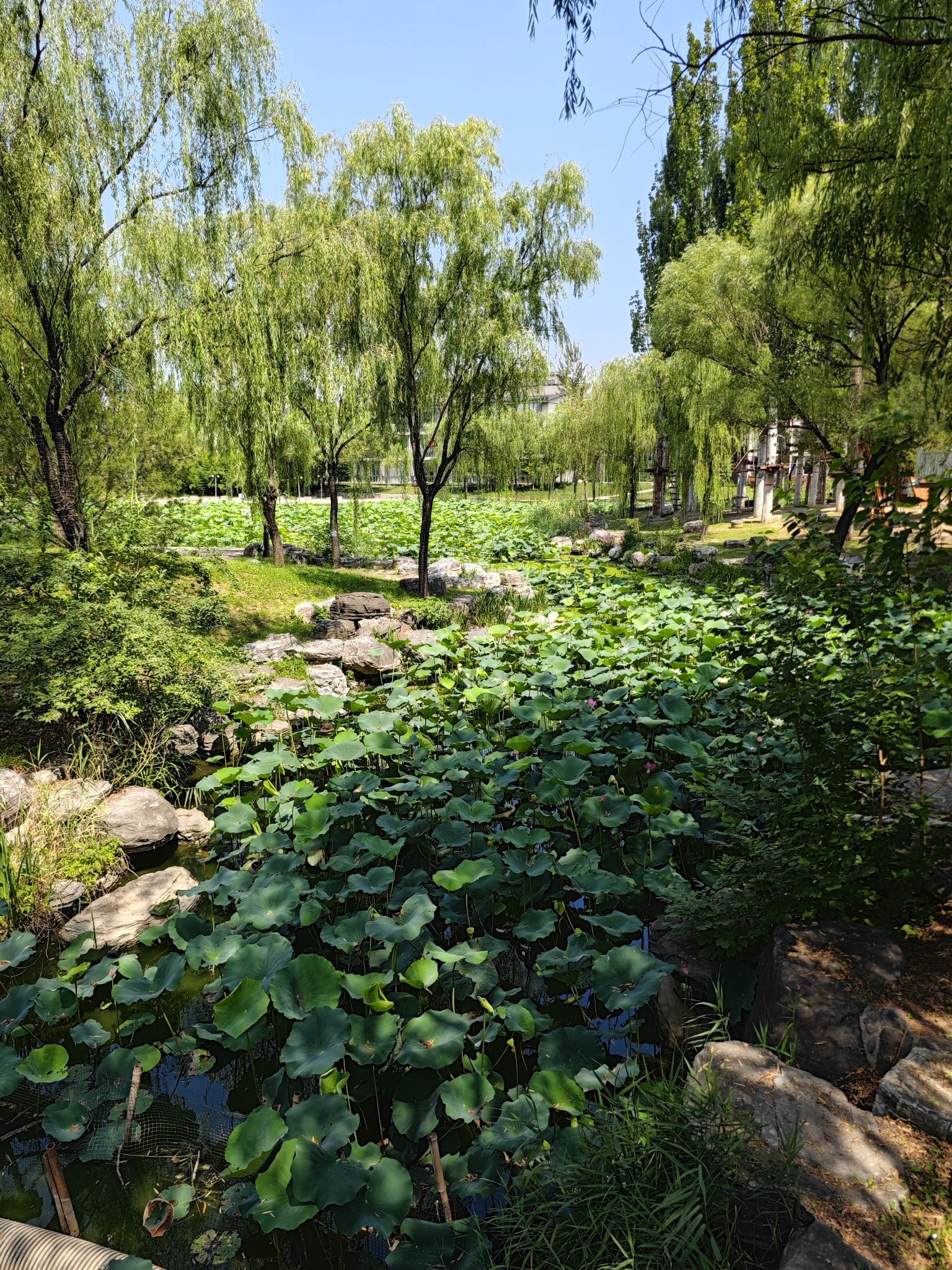 稻香湖公园