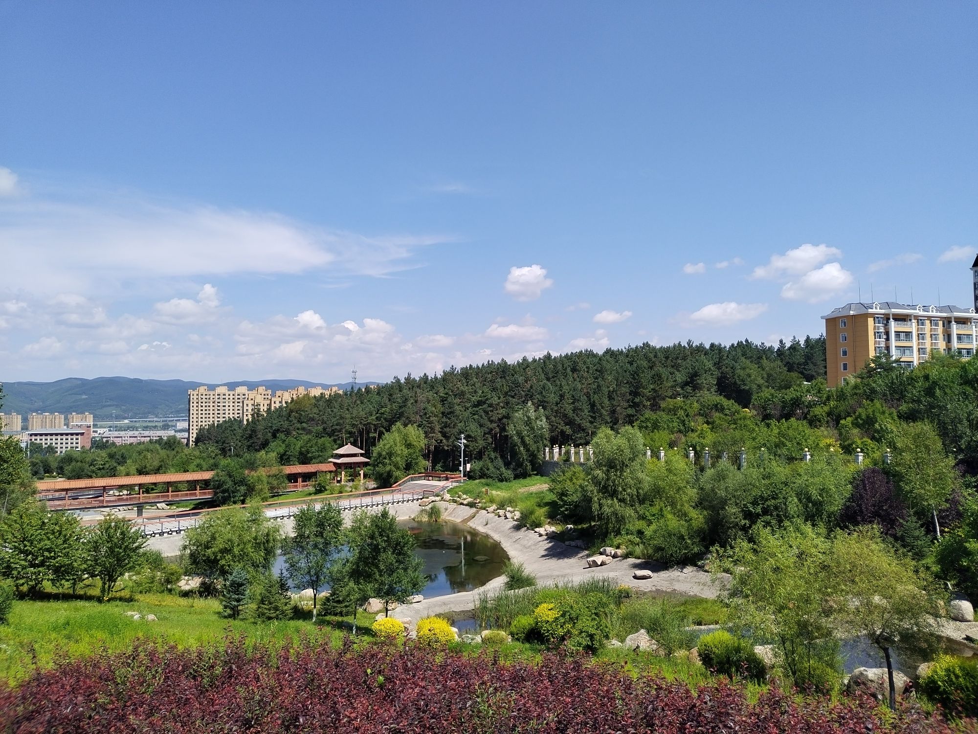 鸡西市城市风景