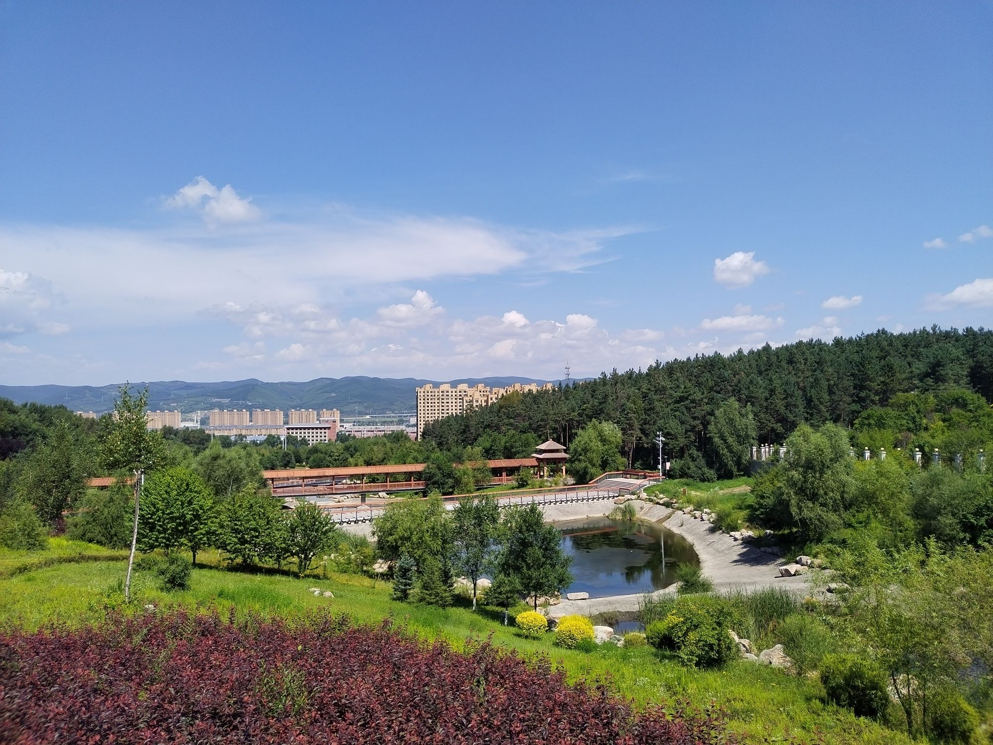 鸡西城市森林公园旅行图片