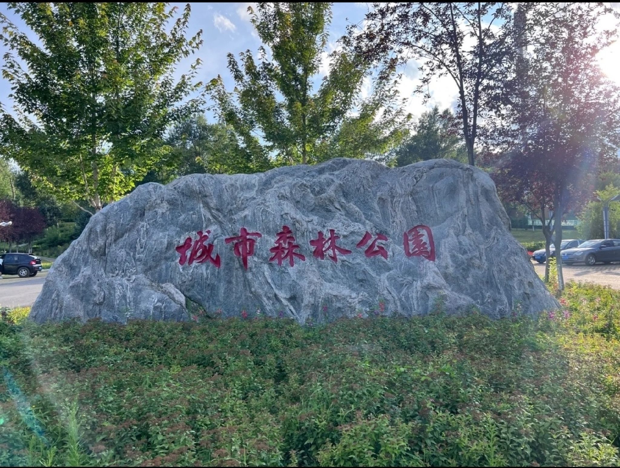 鸡西城市森林公园旅行图片