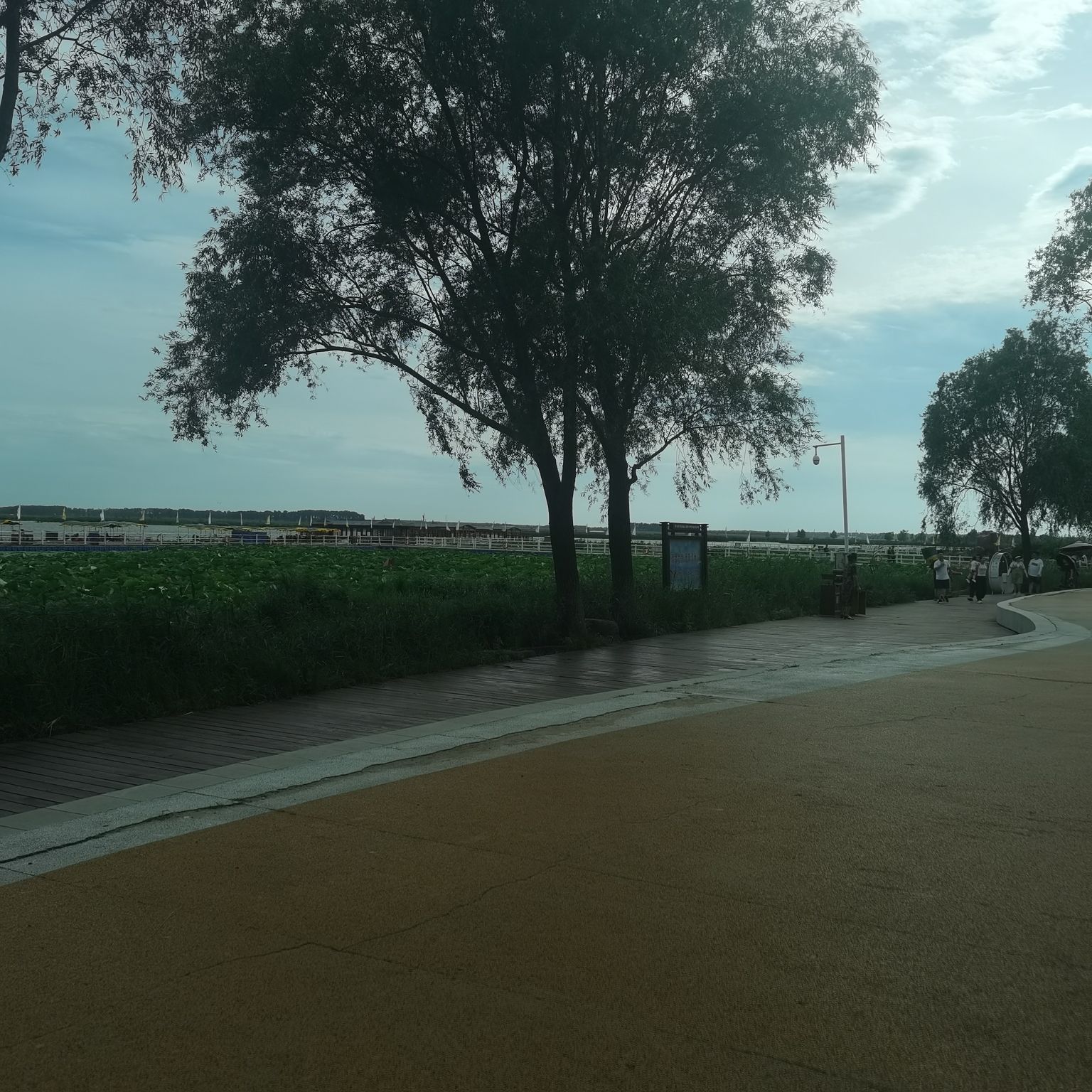 本师佛园