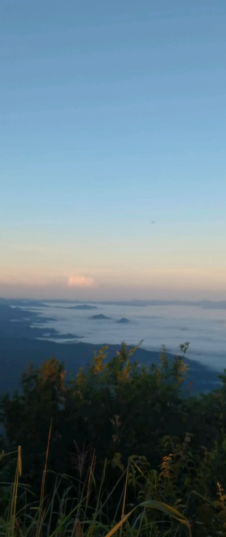 龙华山风景区旅行图片
