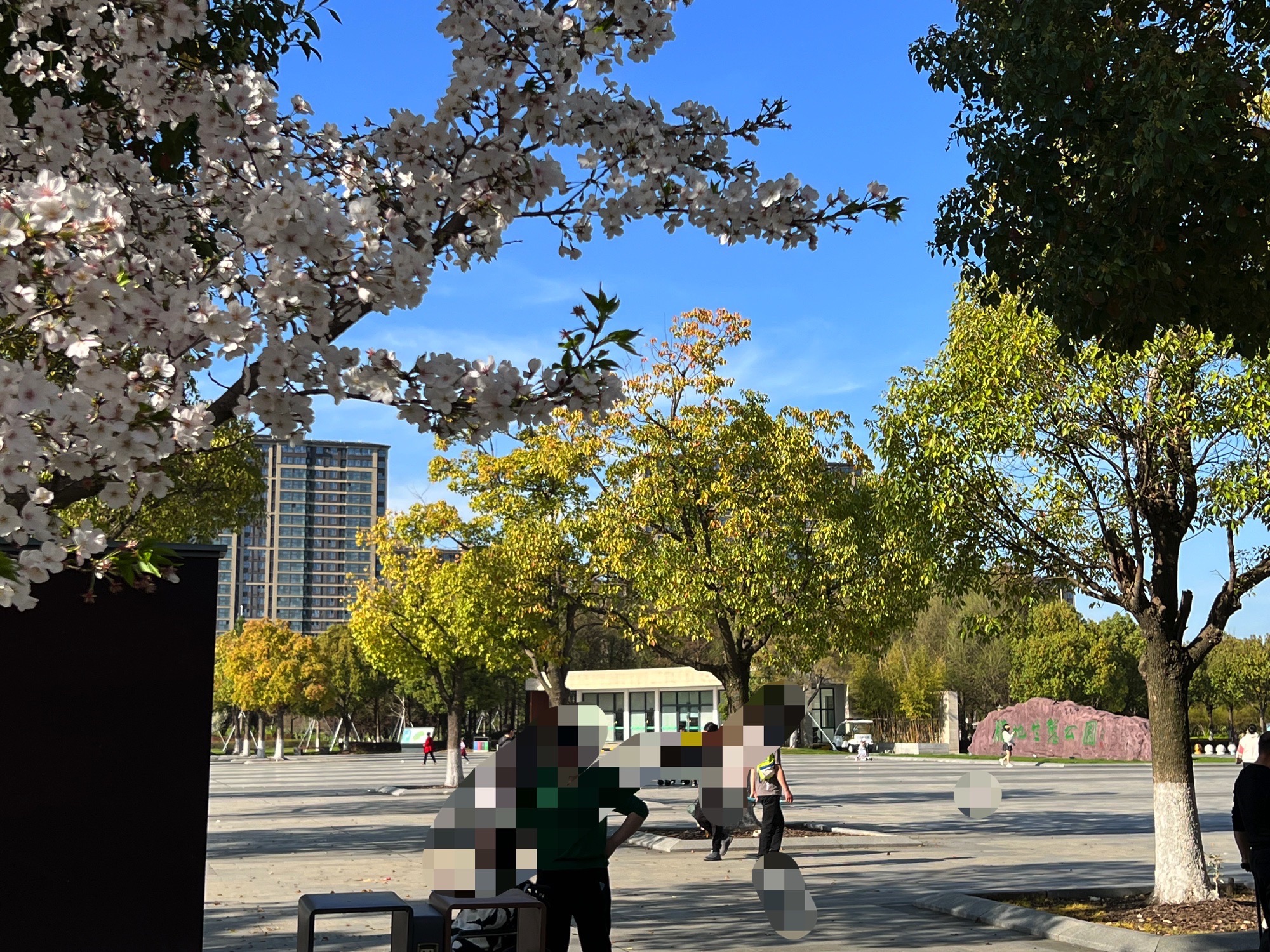胜地生态公园