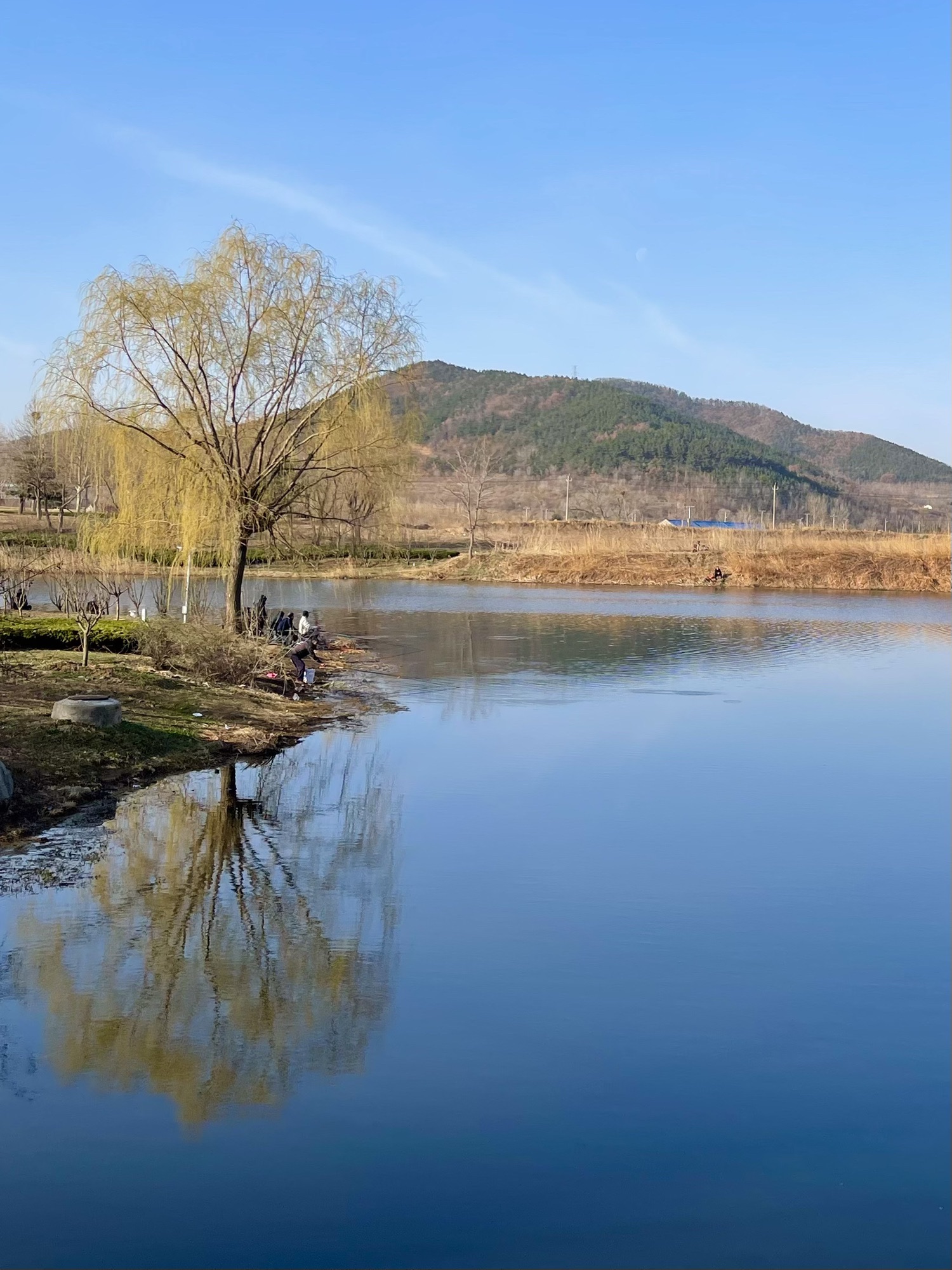 羊亭河湿地公园