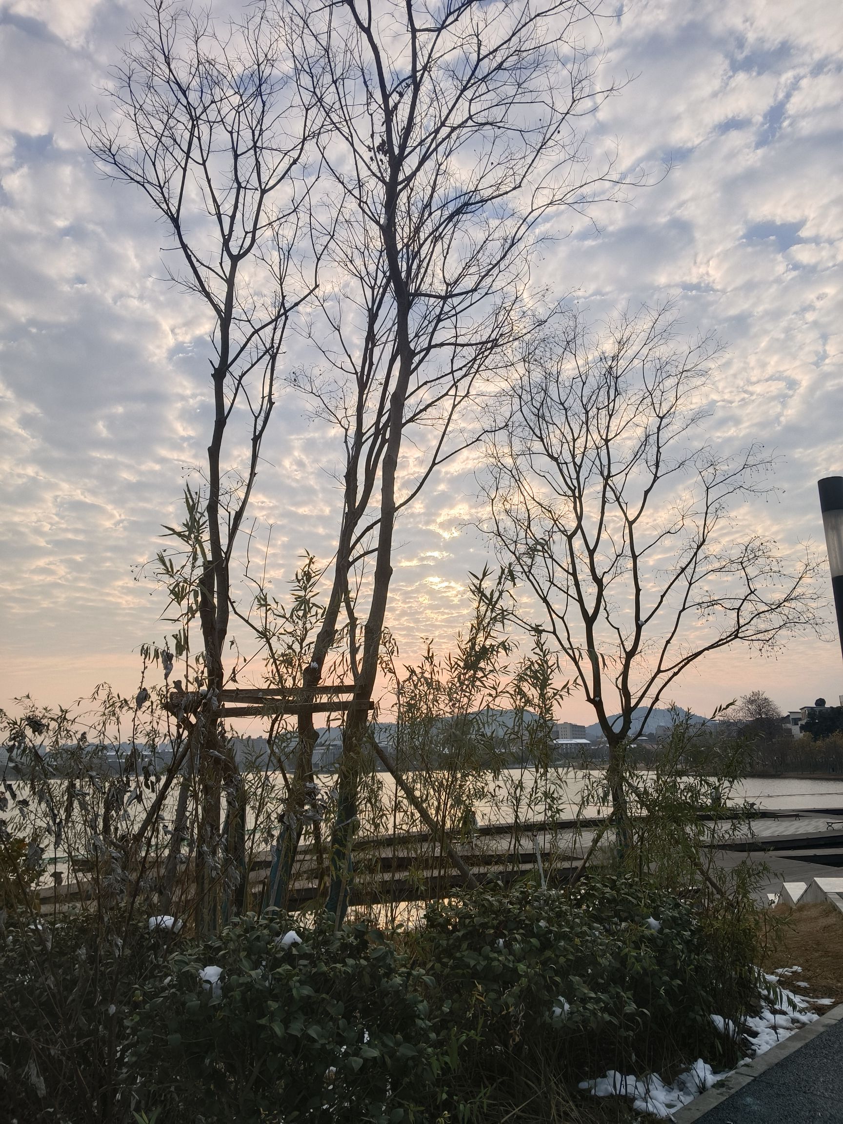 中国·长沙后湖国际艺术区旅行图片