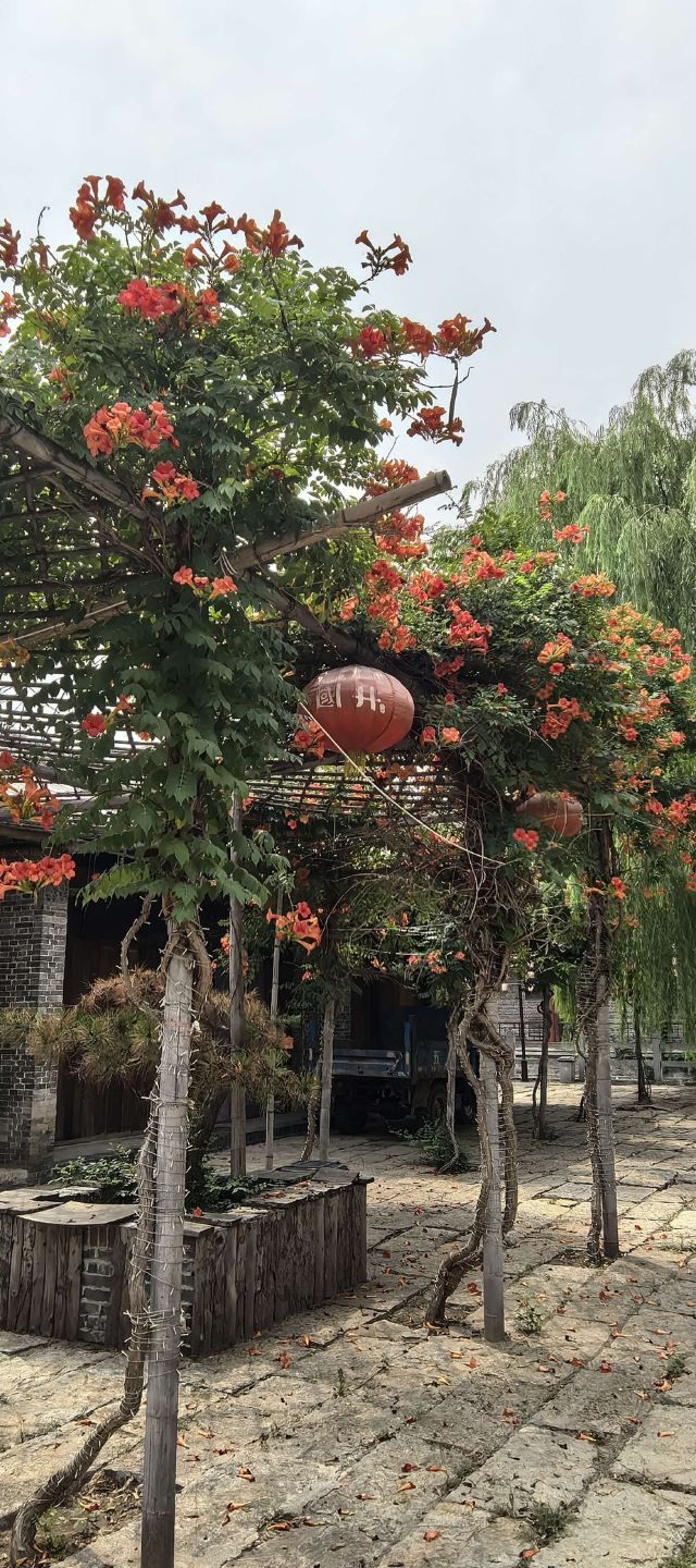 魏集古村落