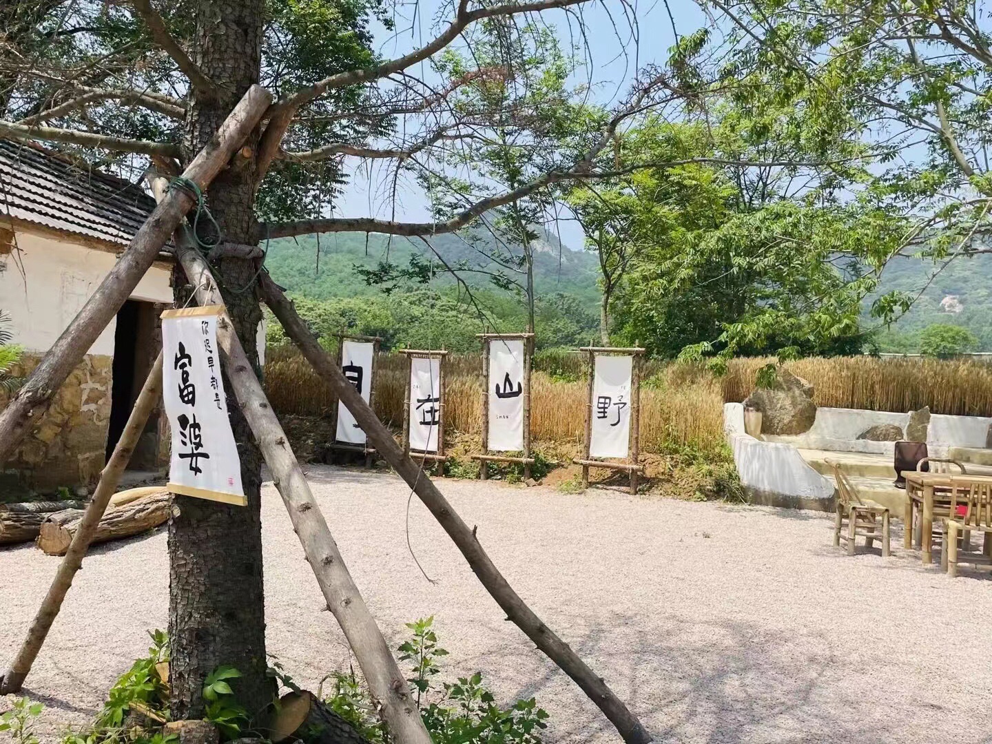 日照驻龙山风景区旅行图片