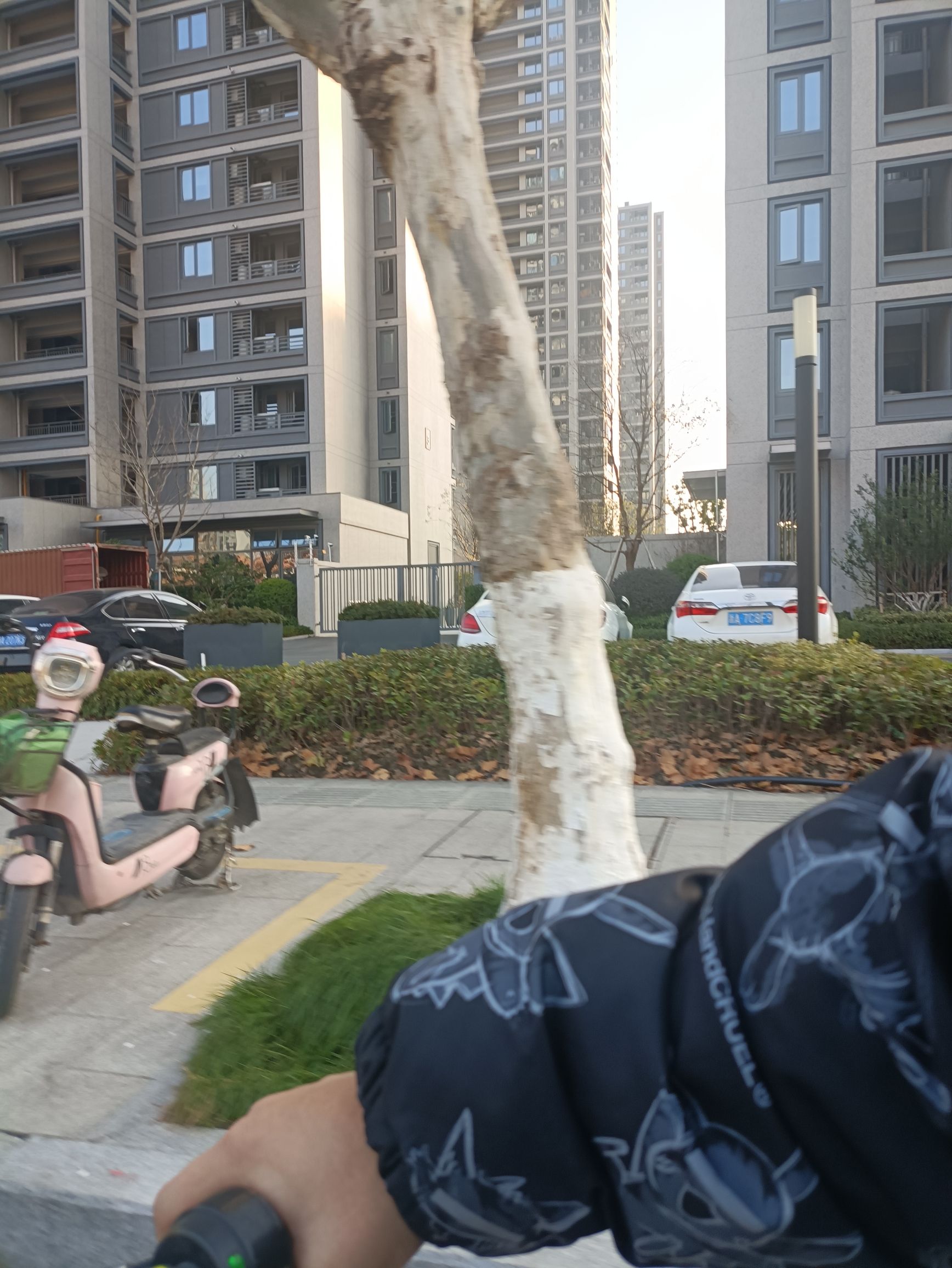 宁围市民公园旅行图片