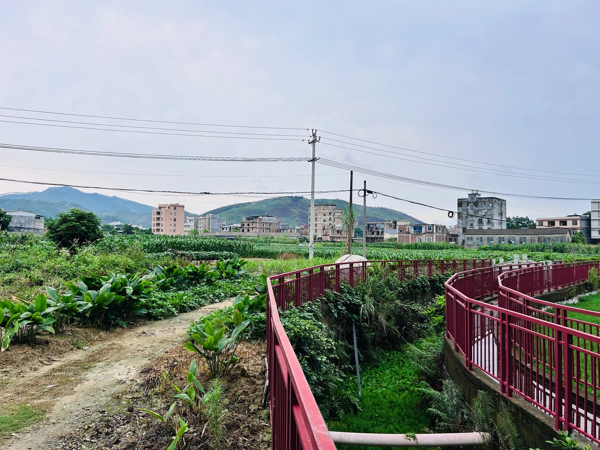 大平坡水楼旅行图片