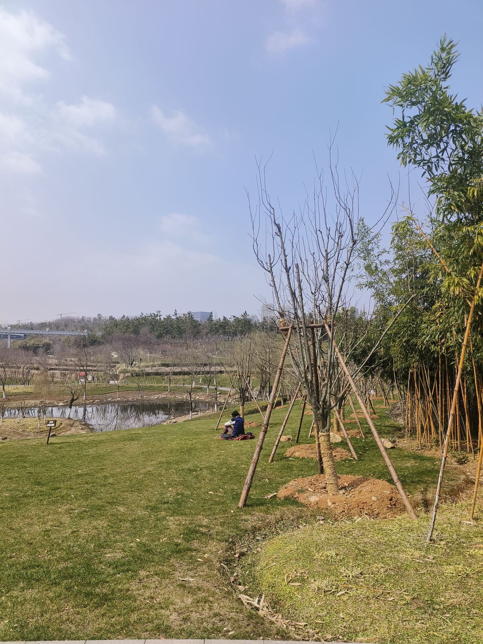 中心城·西苑公园