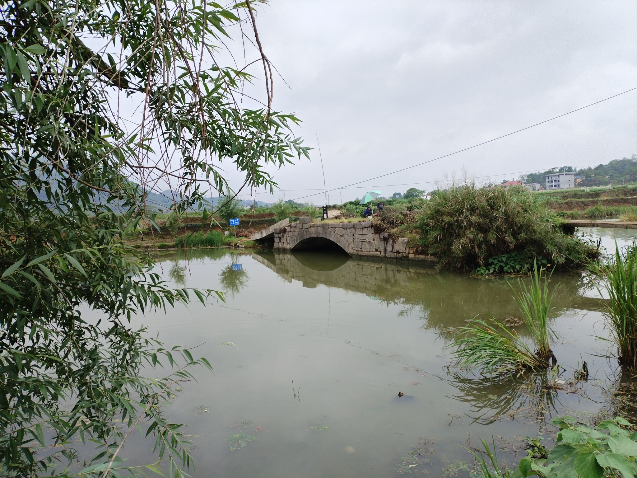 湖南邵阳天子湖国家湿地公园旅行图片