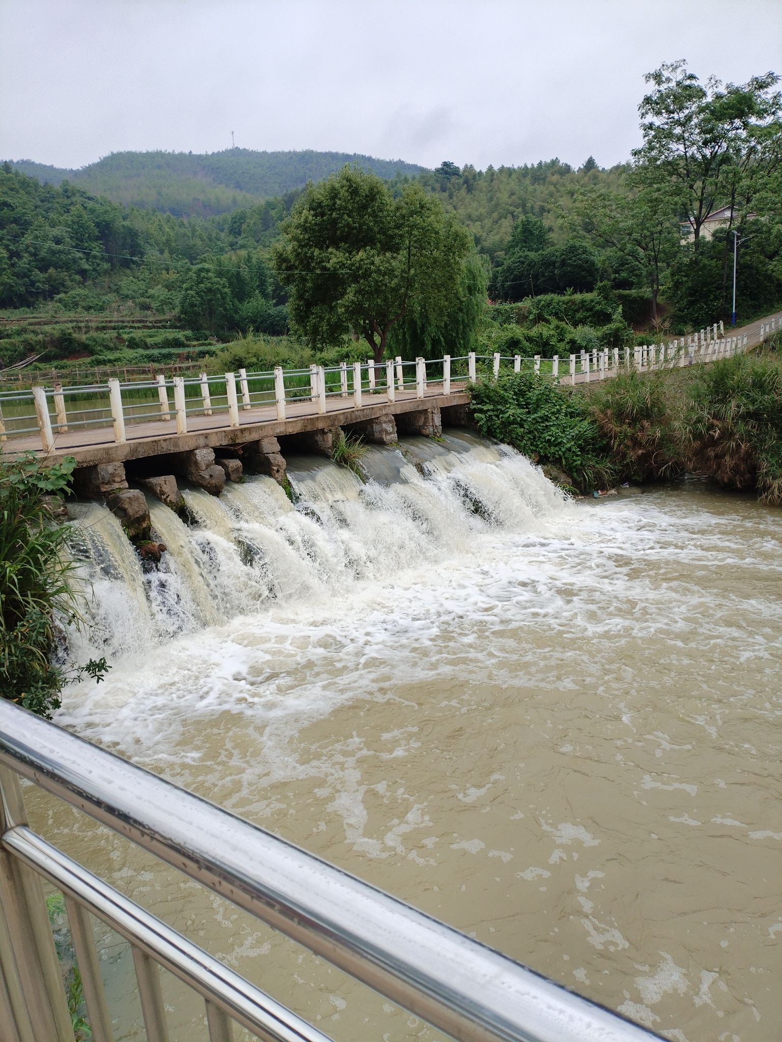 湖南邵阳天子湖国家湿地公园旅行图片