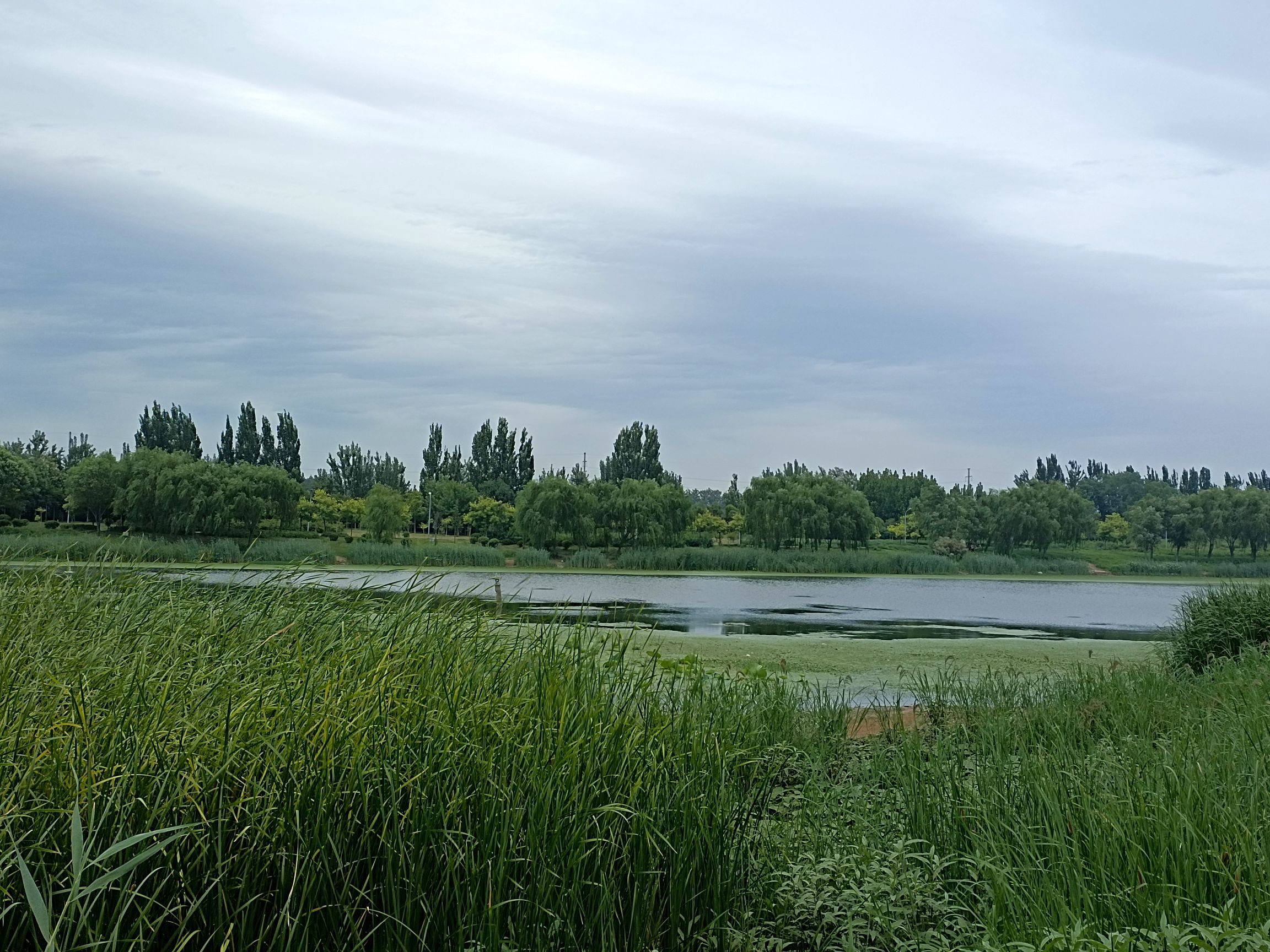 月爱湖公园