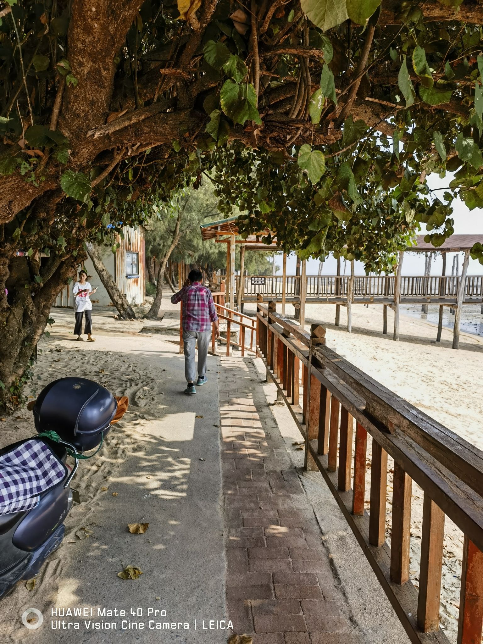 青山头乡村旅游区旅行图片