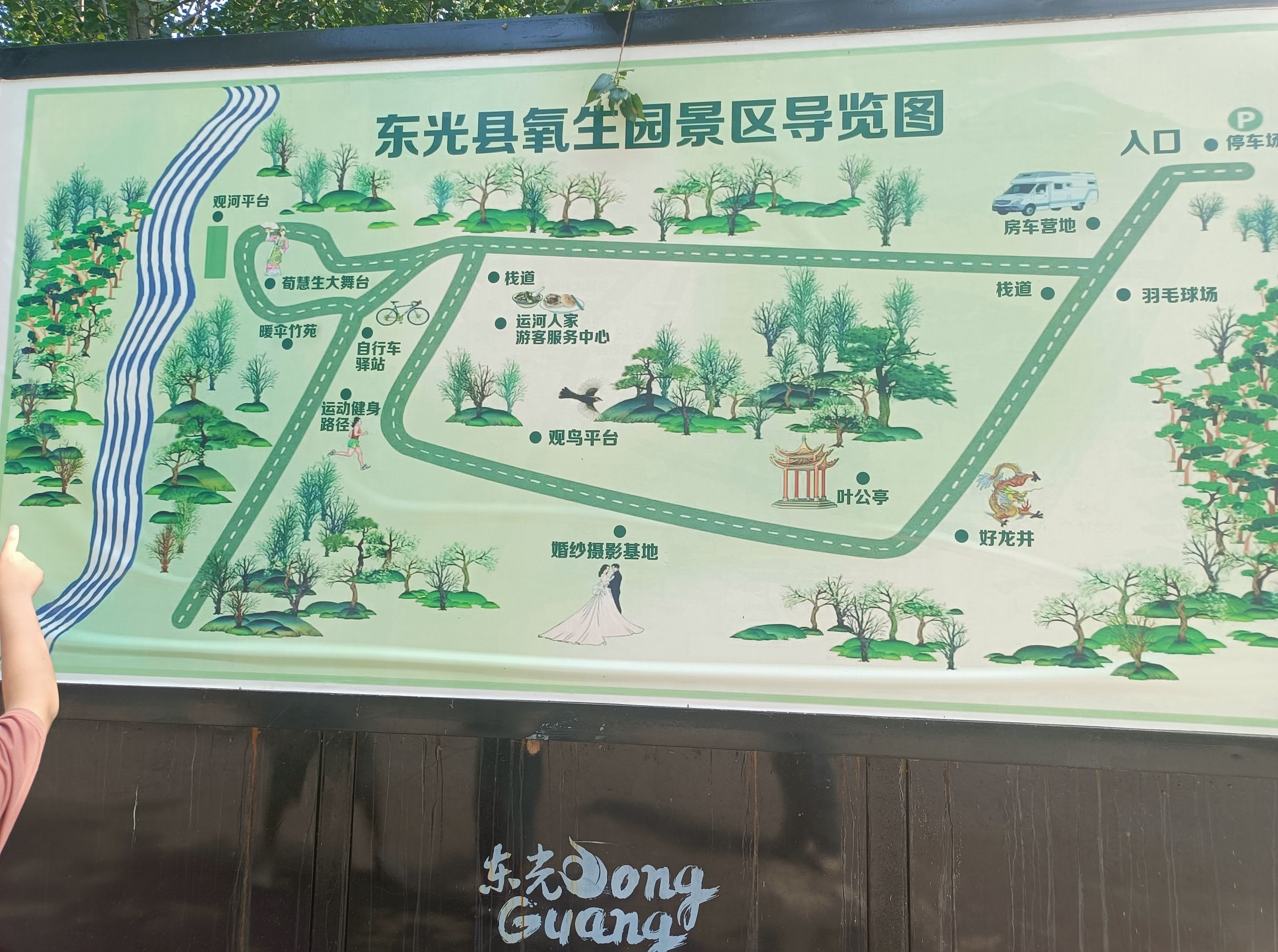 东光大运河森林公园氧生园