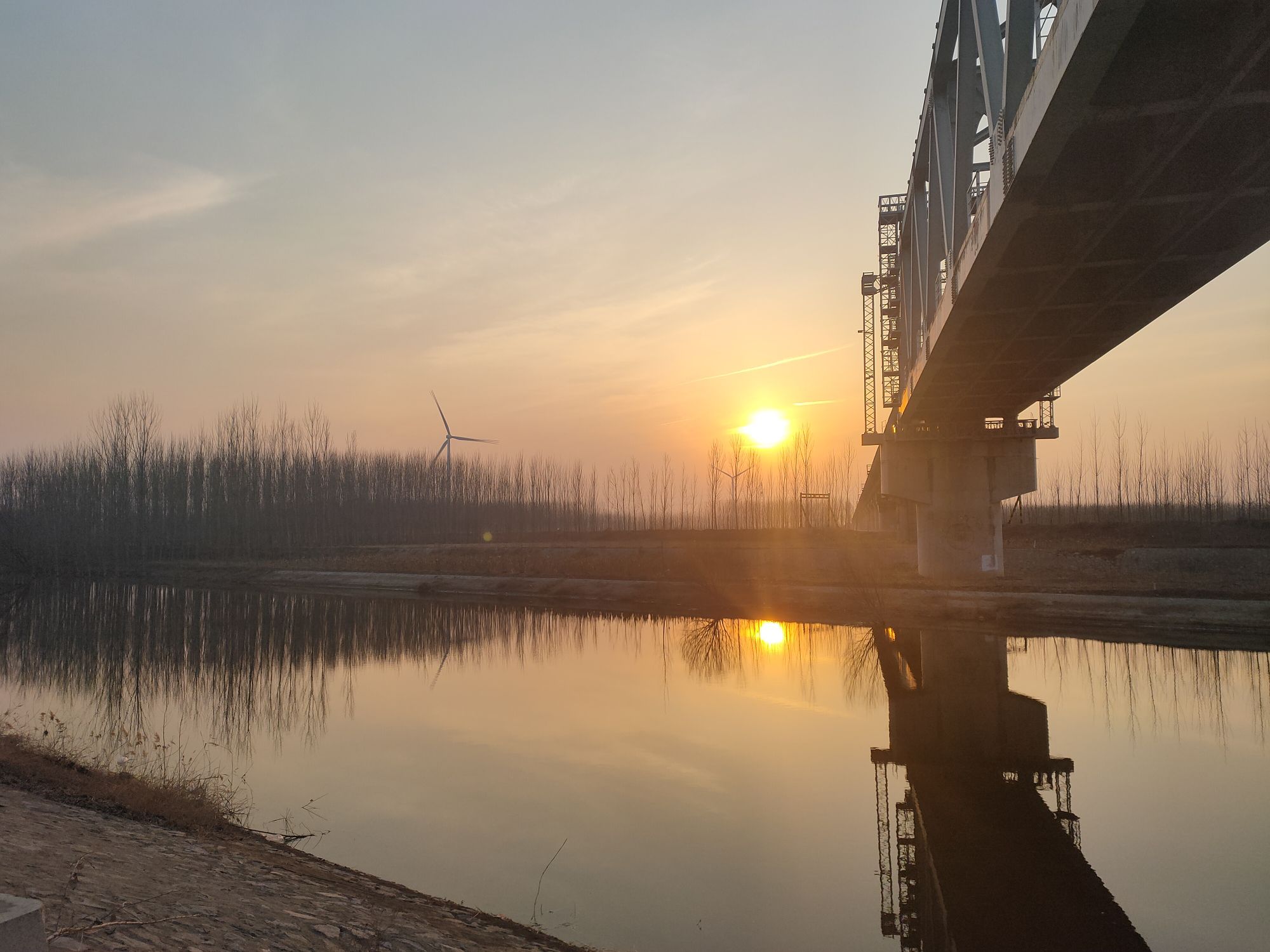 东光大运河森林公园氧生园旅行图片