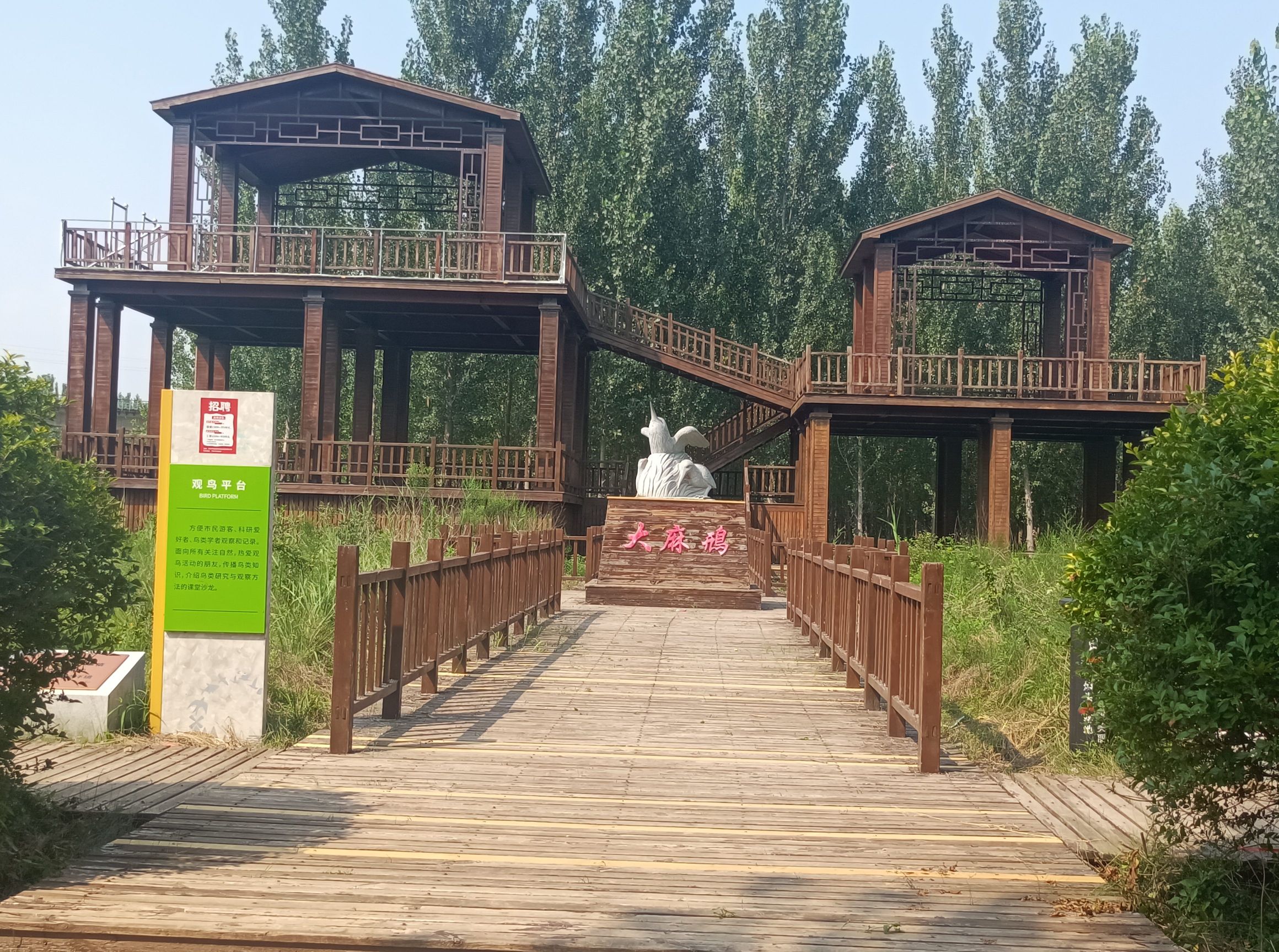 东光大运河森林公园氧生园旅行图片