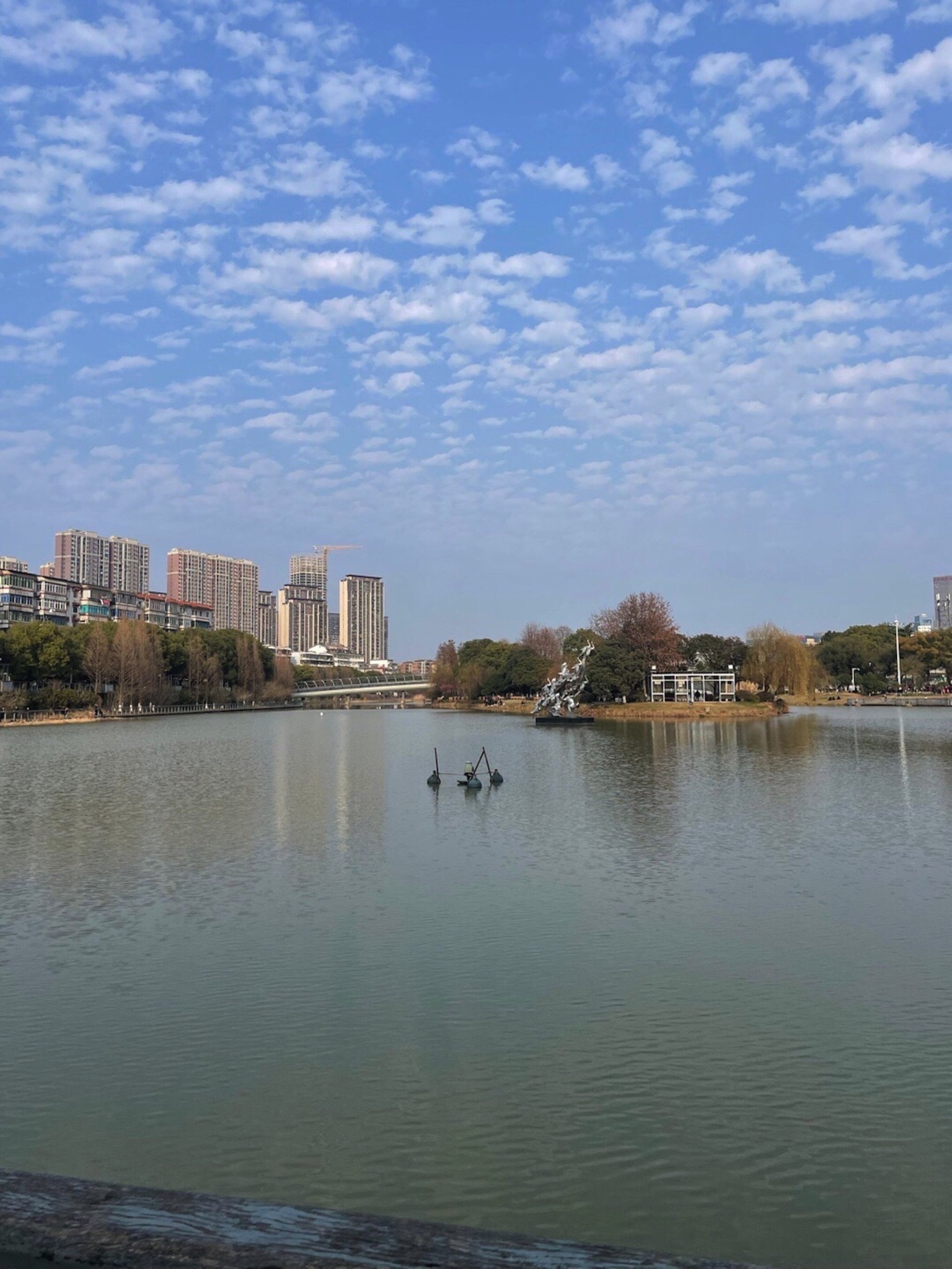 礼步湖公园旅行图片