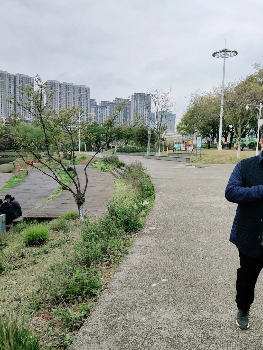 礼步湖公园旅行图片