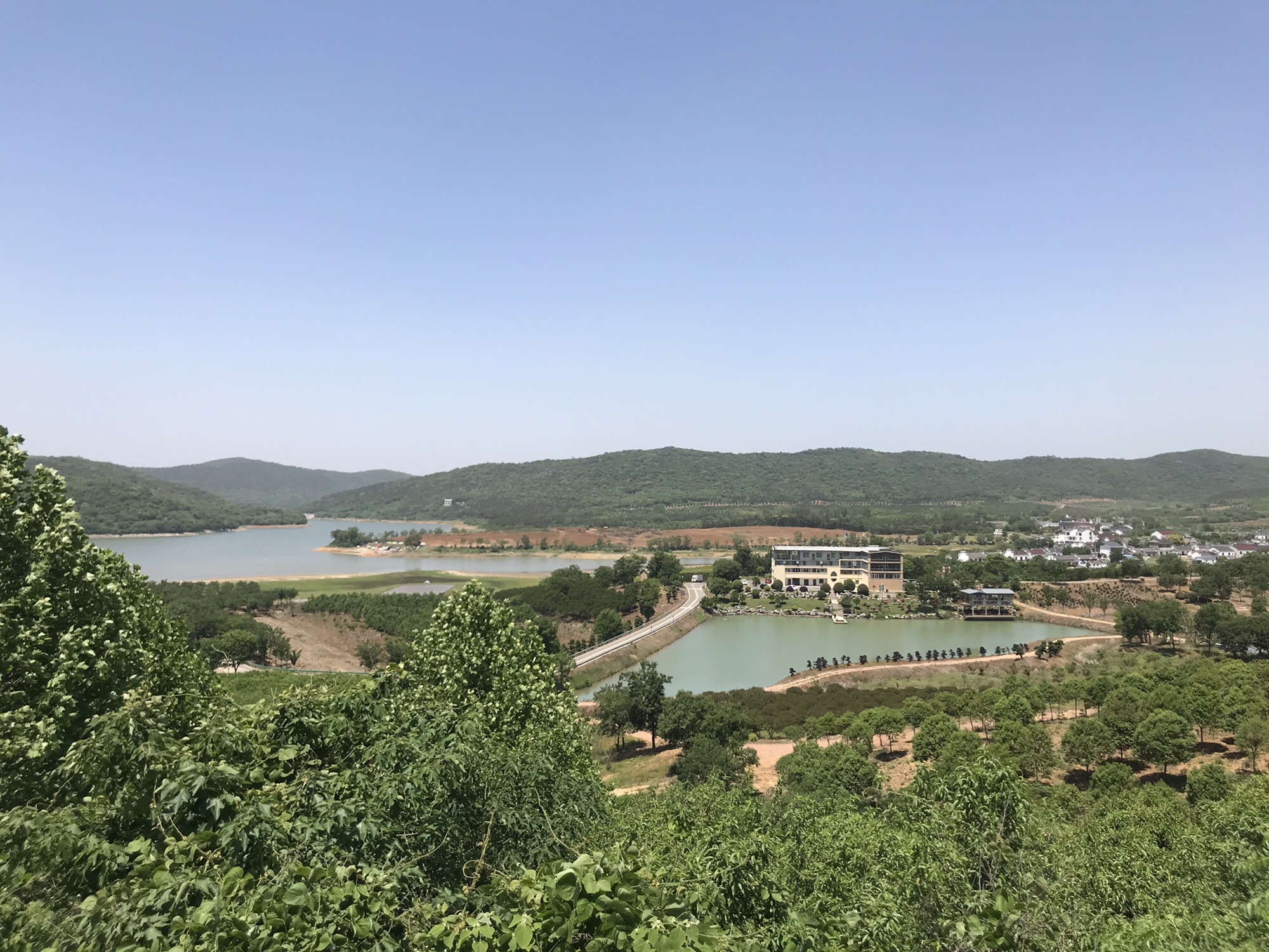 半月湖植物园旅行图片