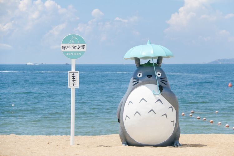 中信城开金沙湾旅行图片