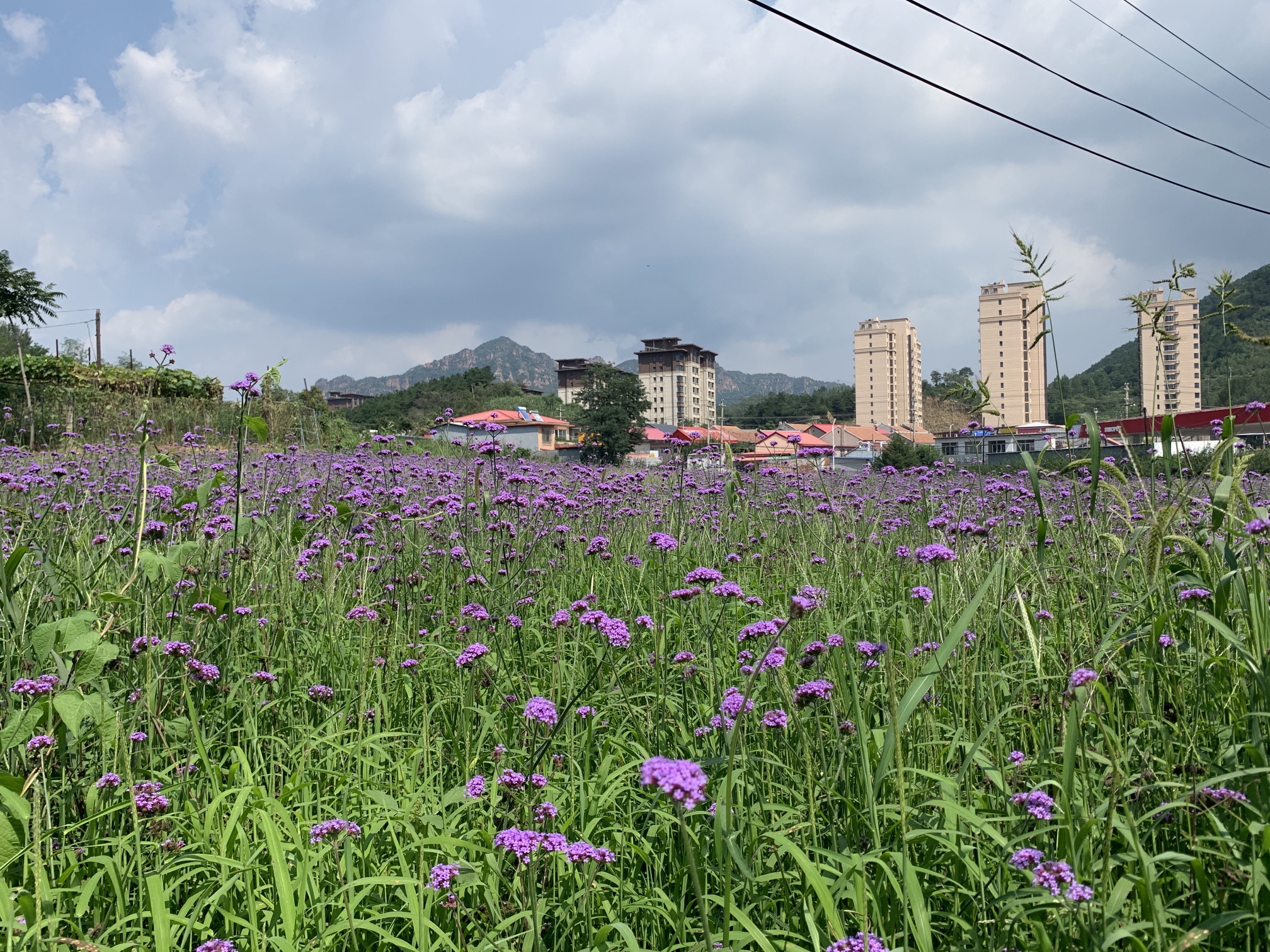 兴隆南山公园
