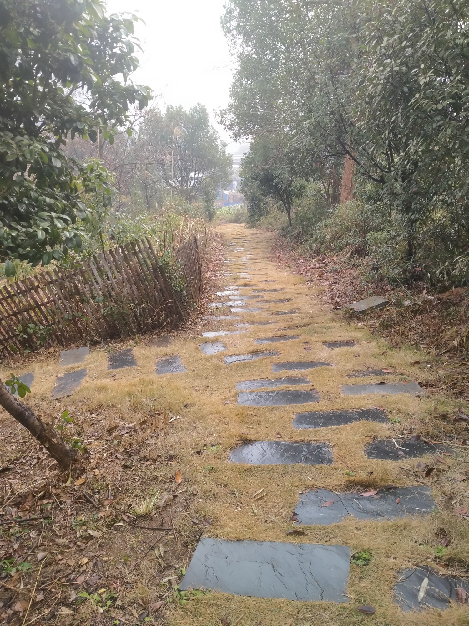 鸭丝塘公园旅行图片