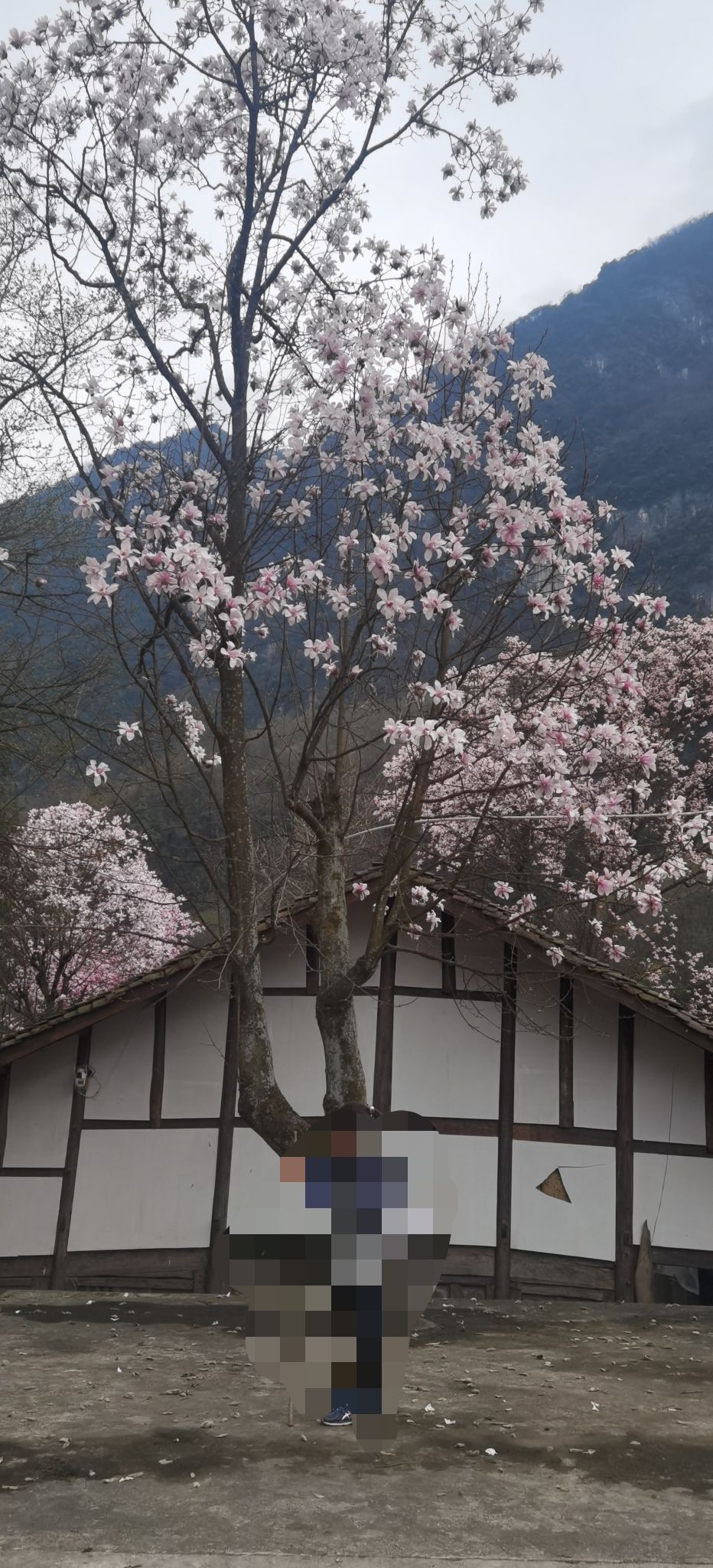 西羌九皇山景区-花溪景