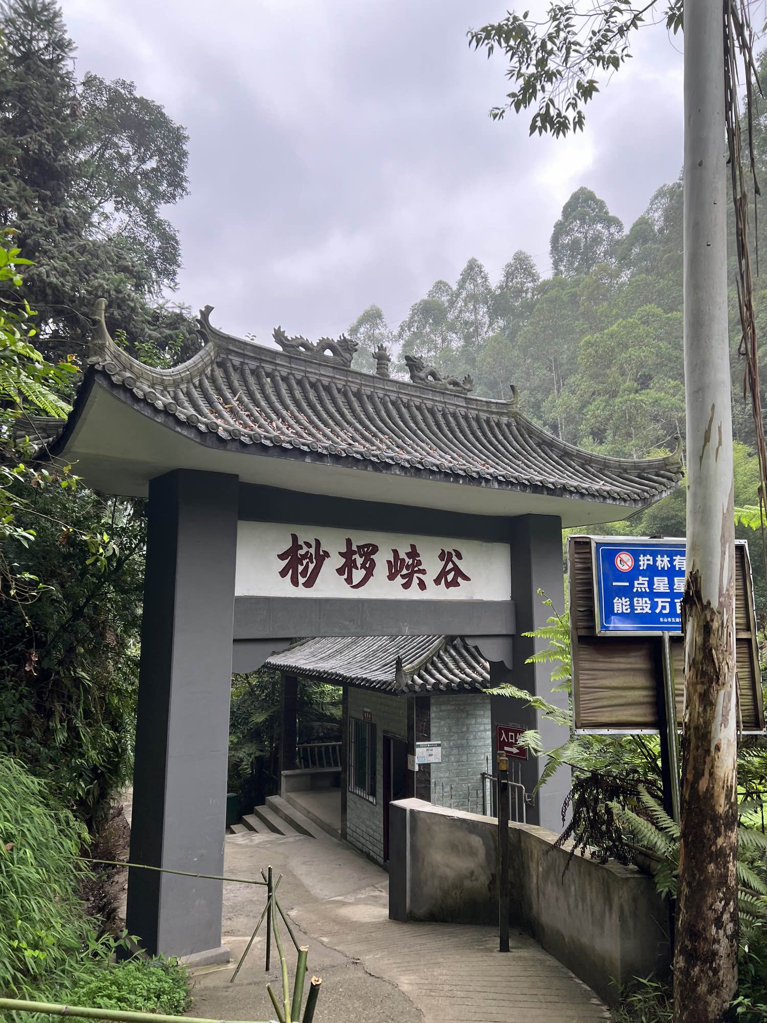 乐山西坝镇桫椤大峡谷(暂停开放)旅行图片