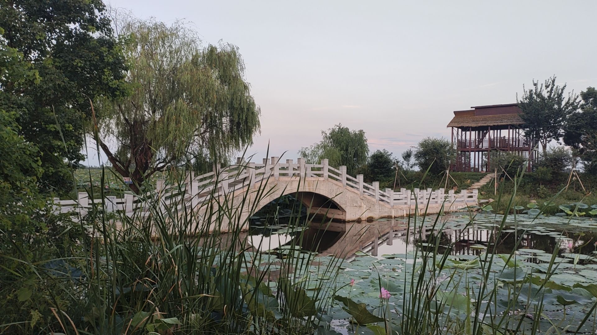 大渔滩湿地旅行图片